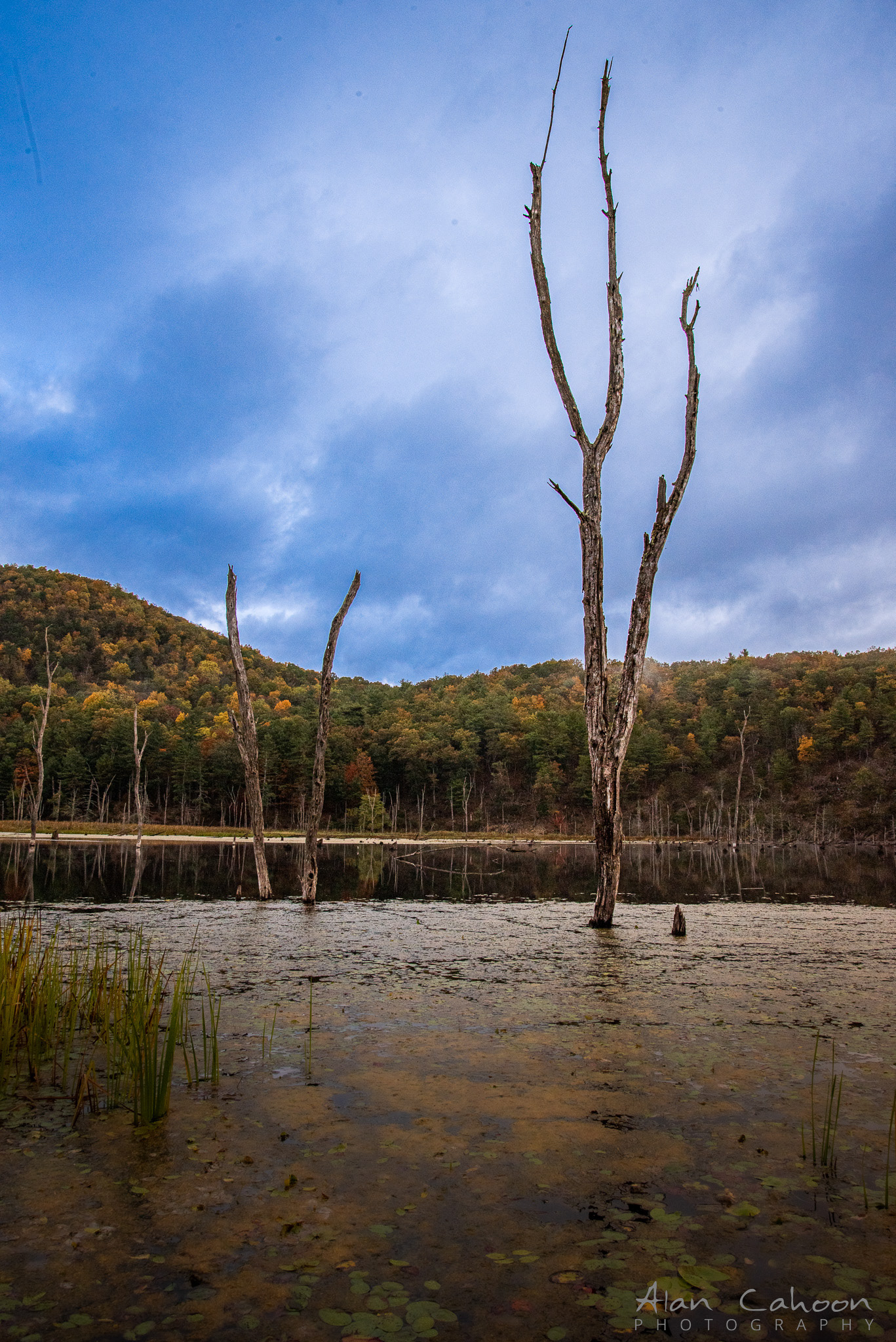 Mathias, West Virginia