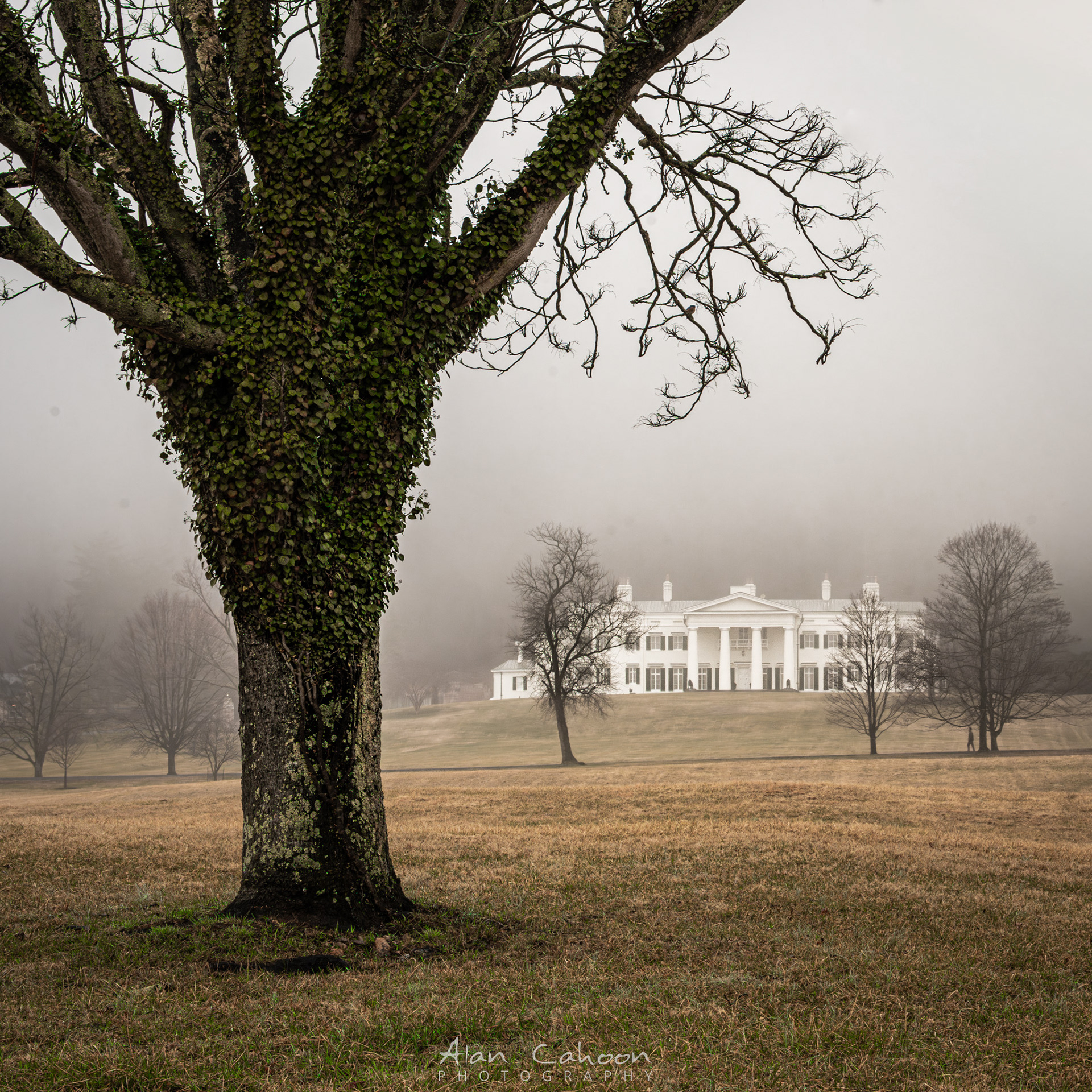 Davis Mansion