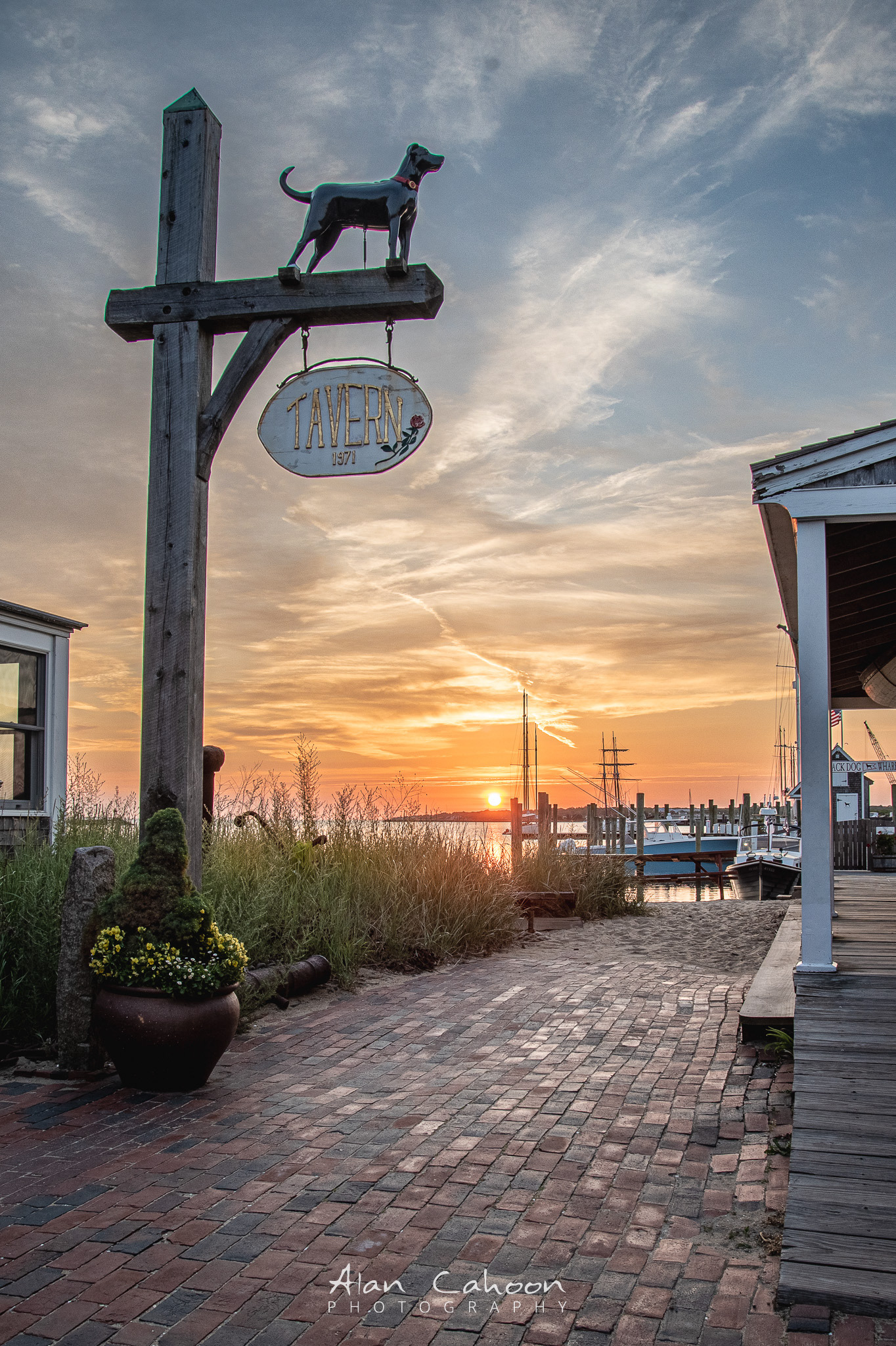 Black Dog Sign at Sunrise