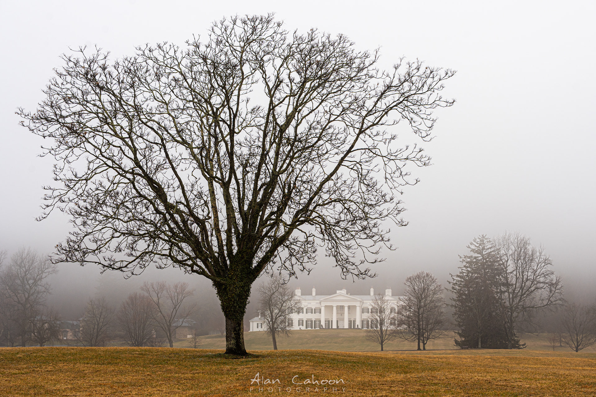 Davis Mansion