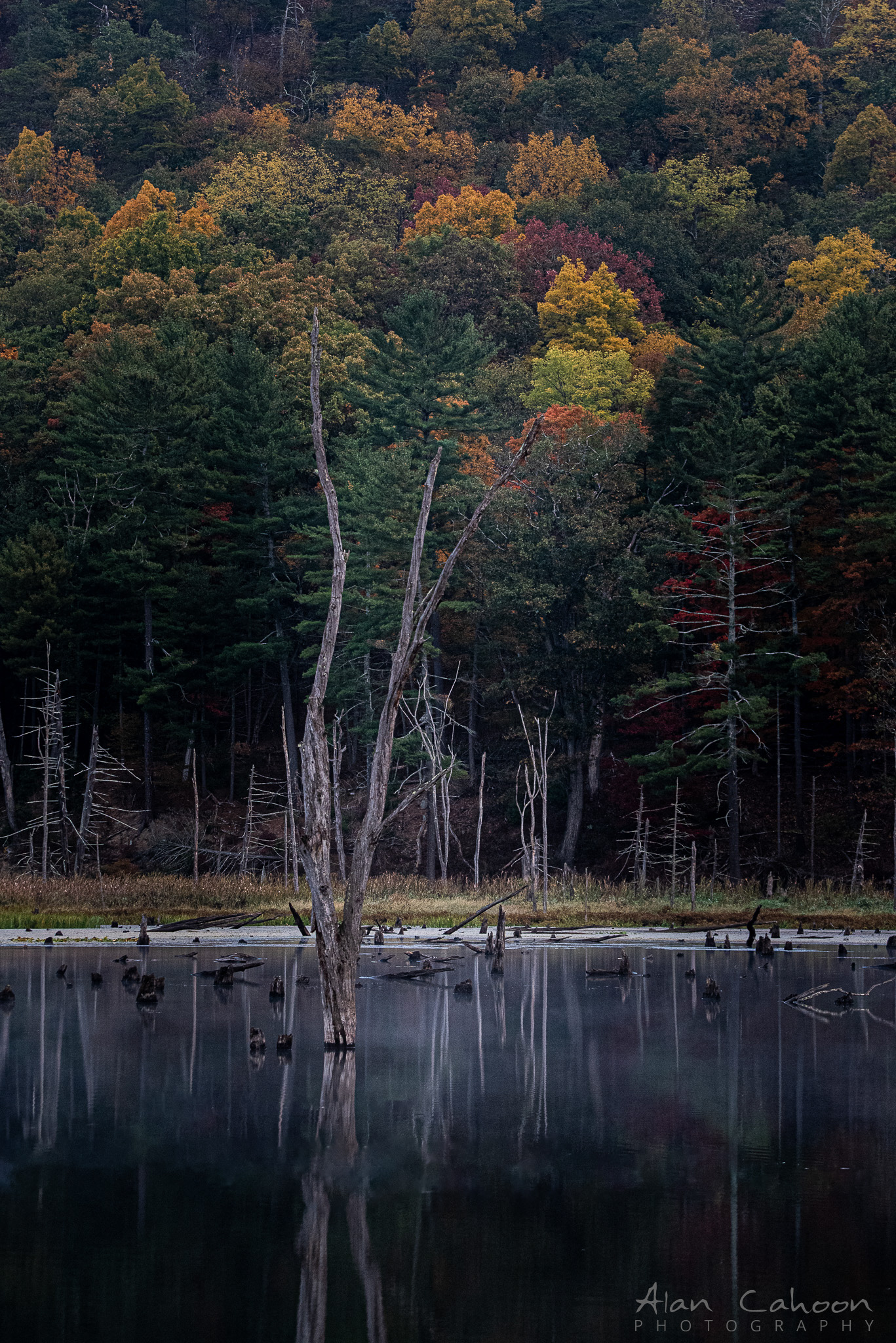 Mathias West Virginia