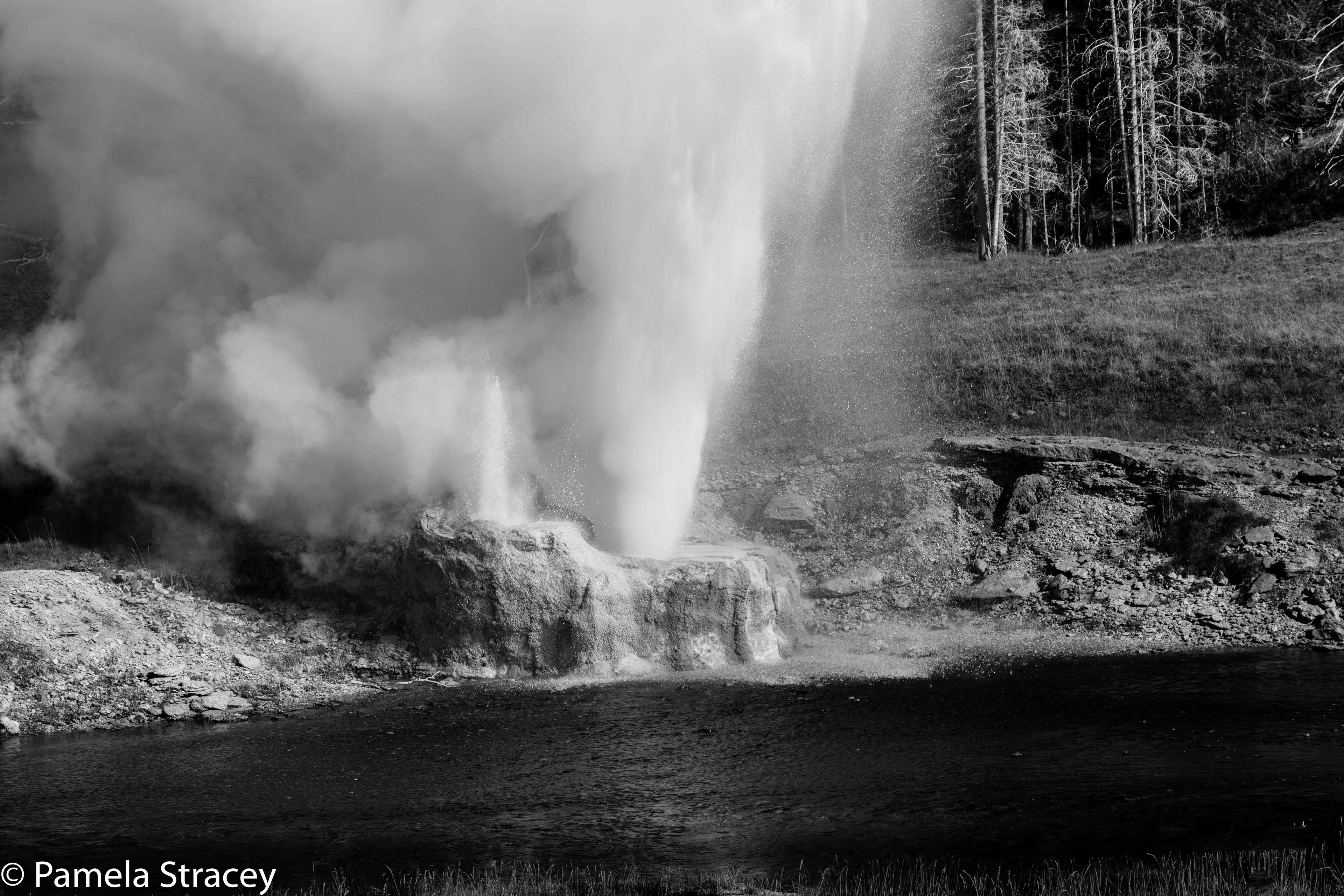 Riverside Geyser erupting in Yellowstone NP