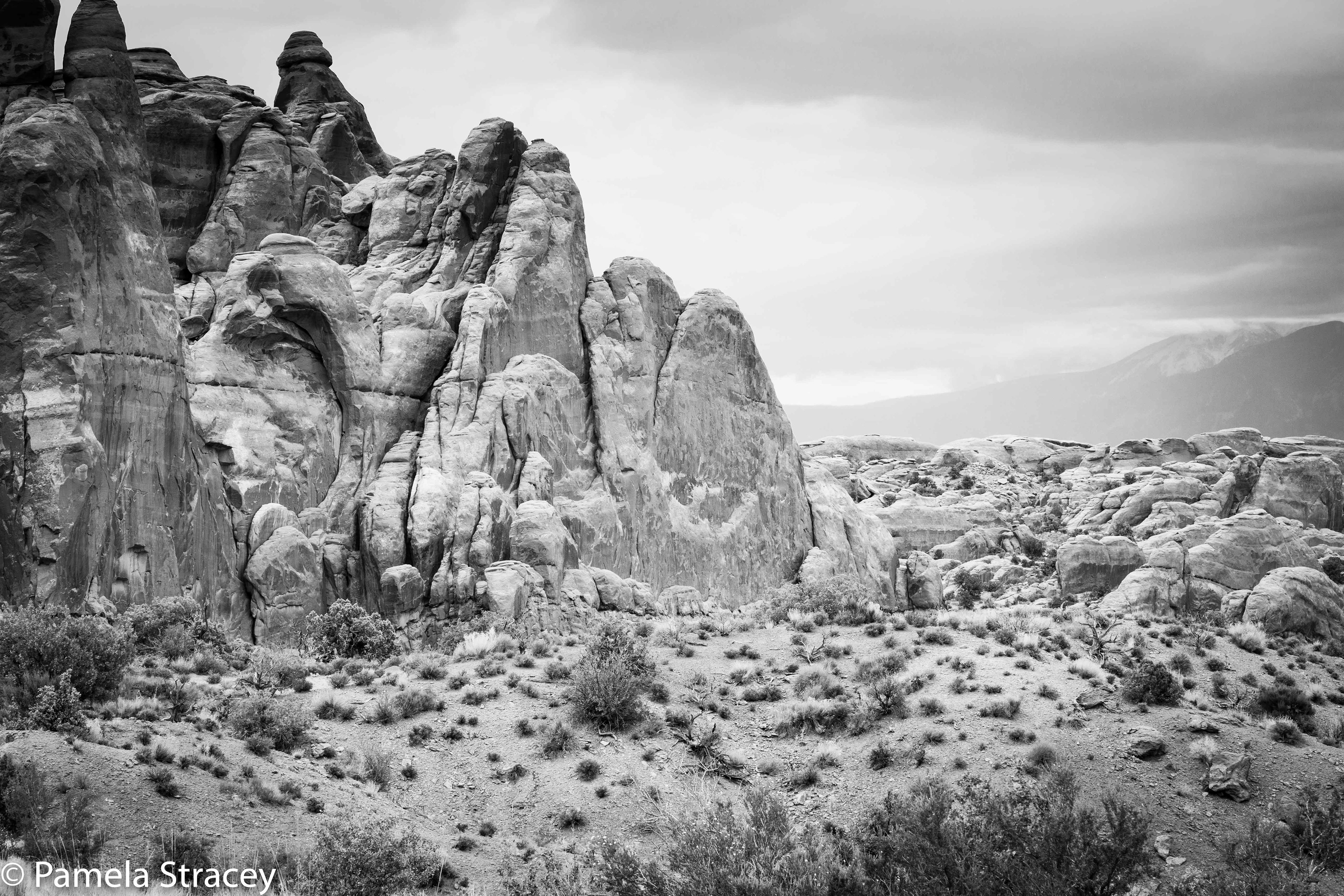 Arches Rocky Landscape
