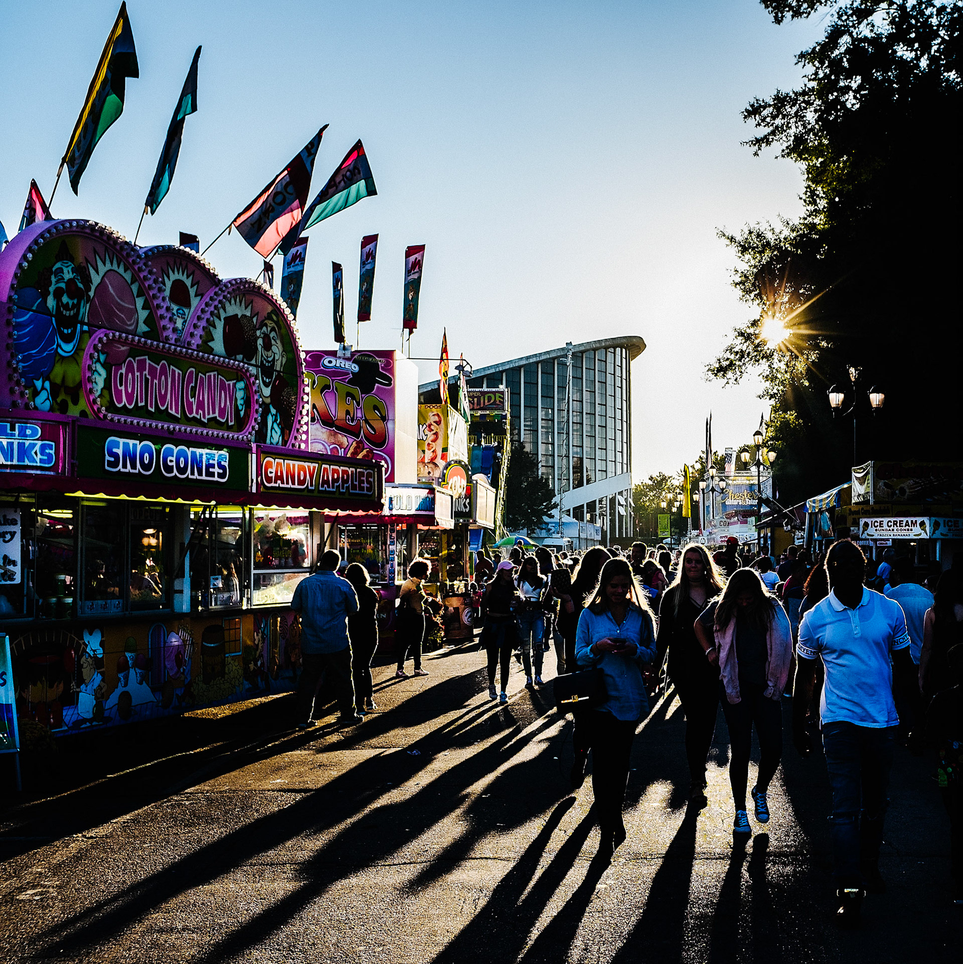 NC State Fair Shadow Series