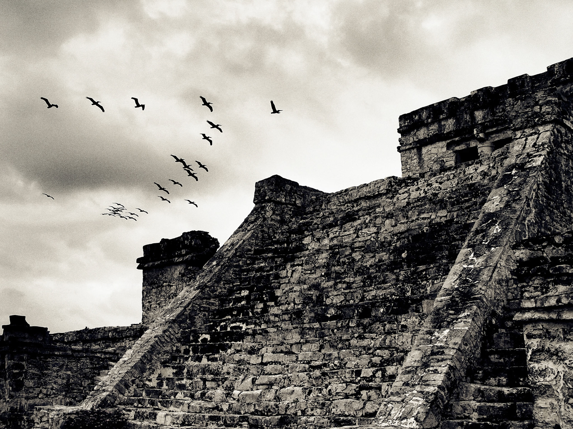Mayans and Birds