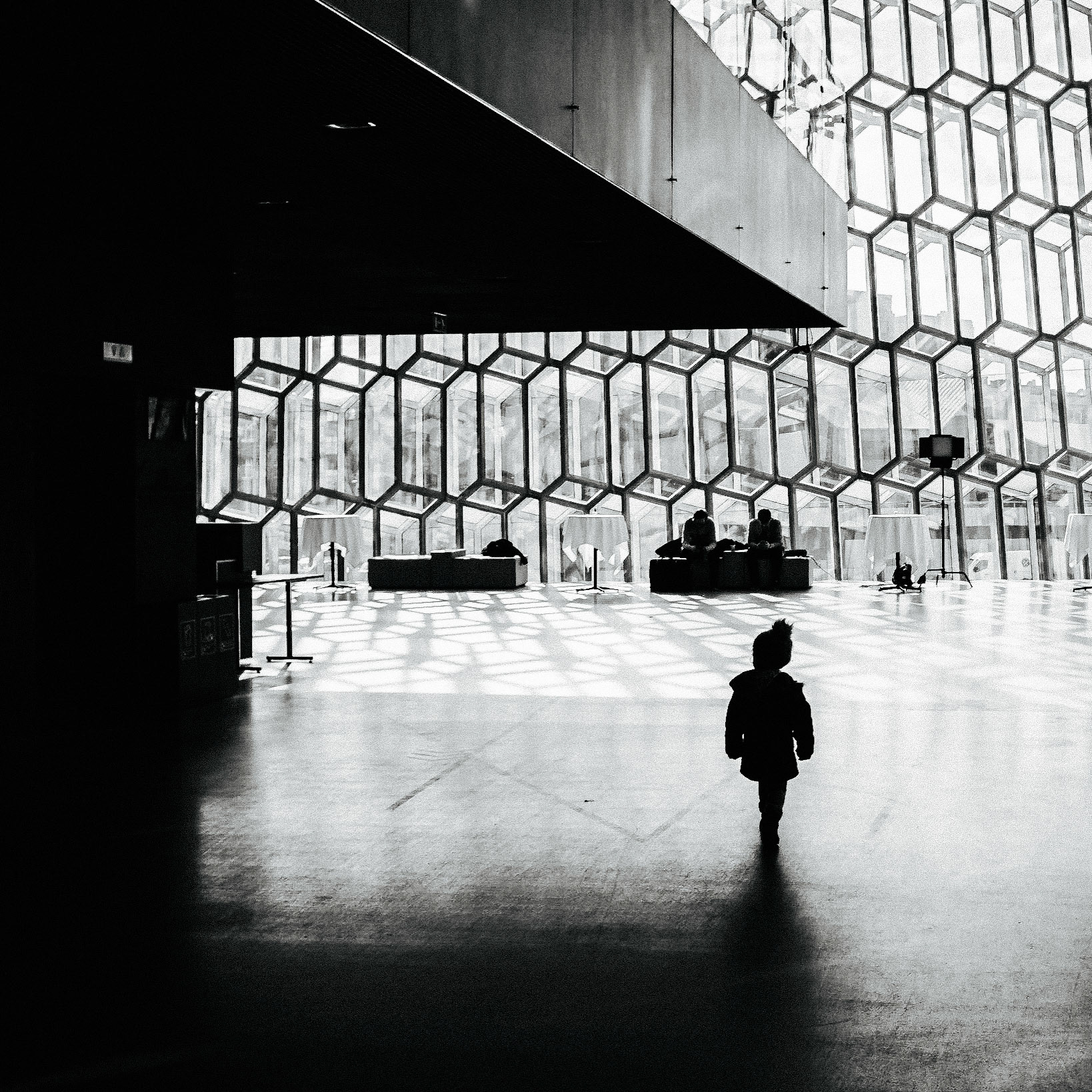 Harpa Boy