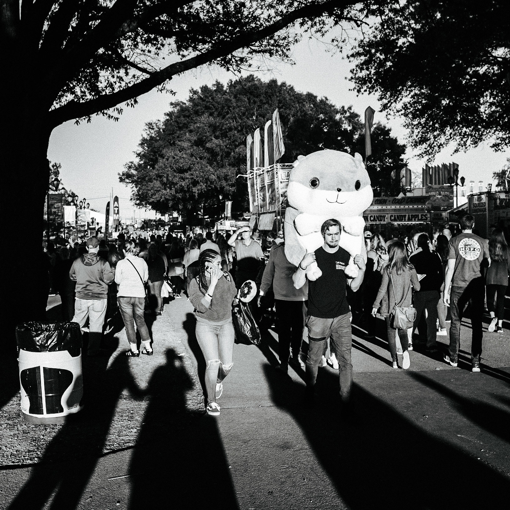 NC State Fair Shadow Series