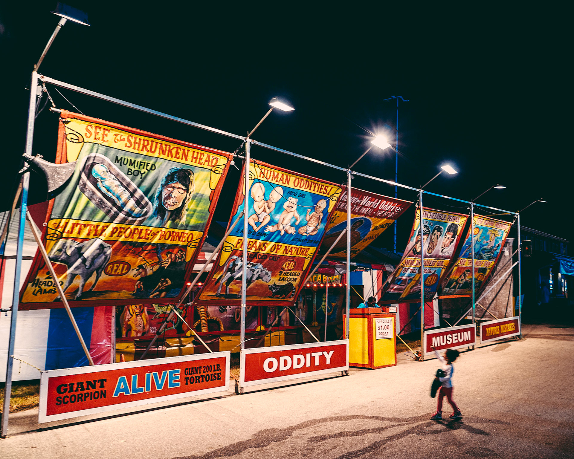NC State Fair Series