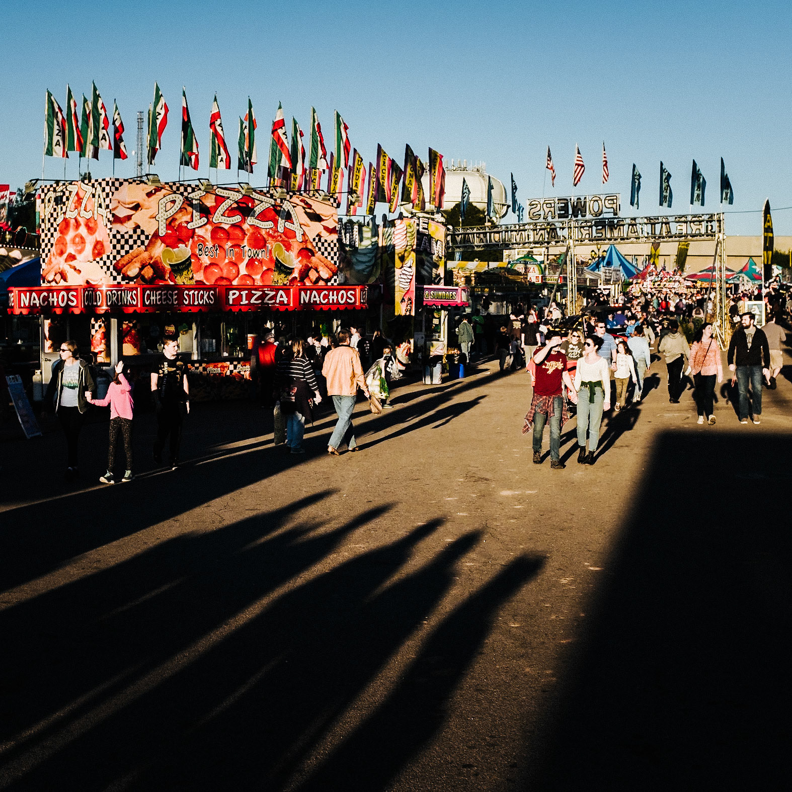 NC State Fair Shadow Series