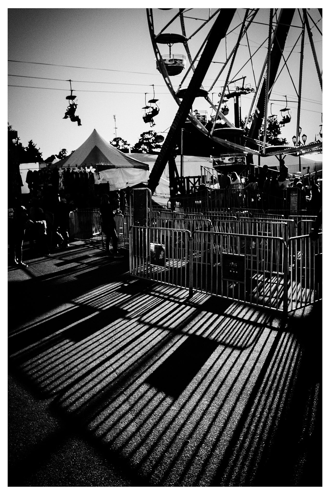 NC State Fair Shadow Series