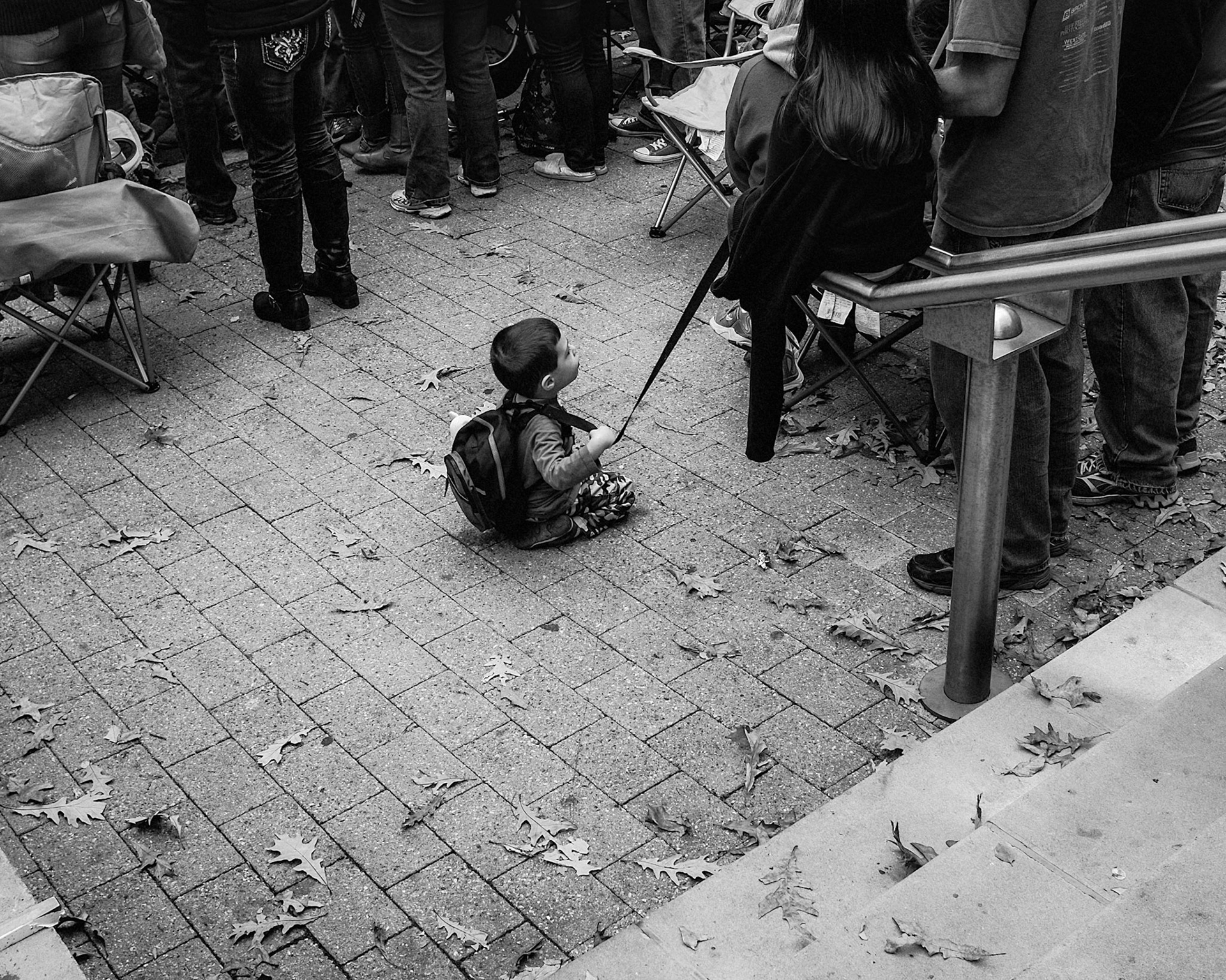 Leashed (1)