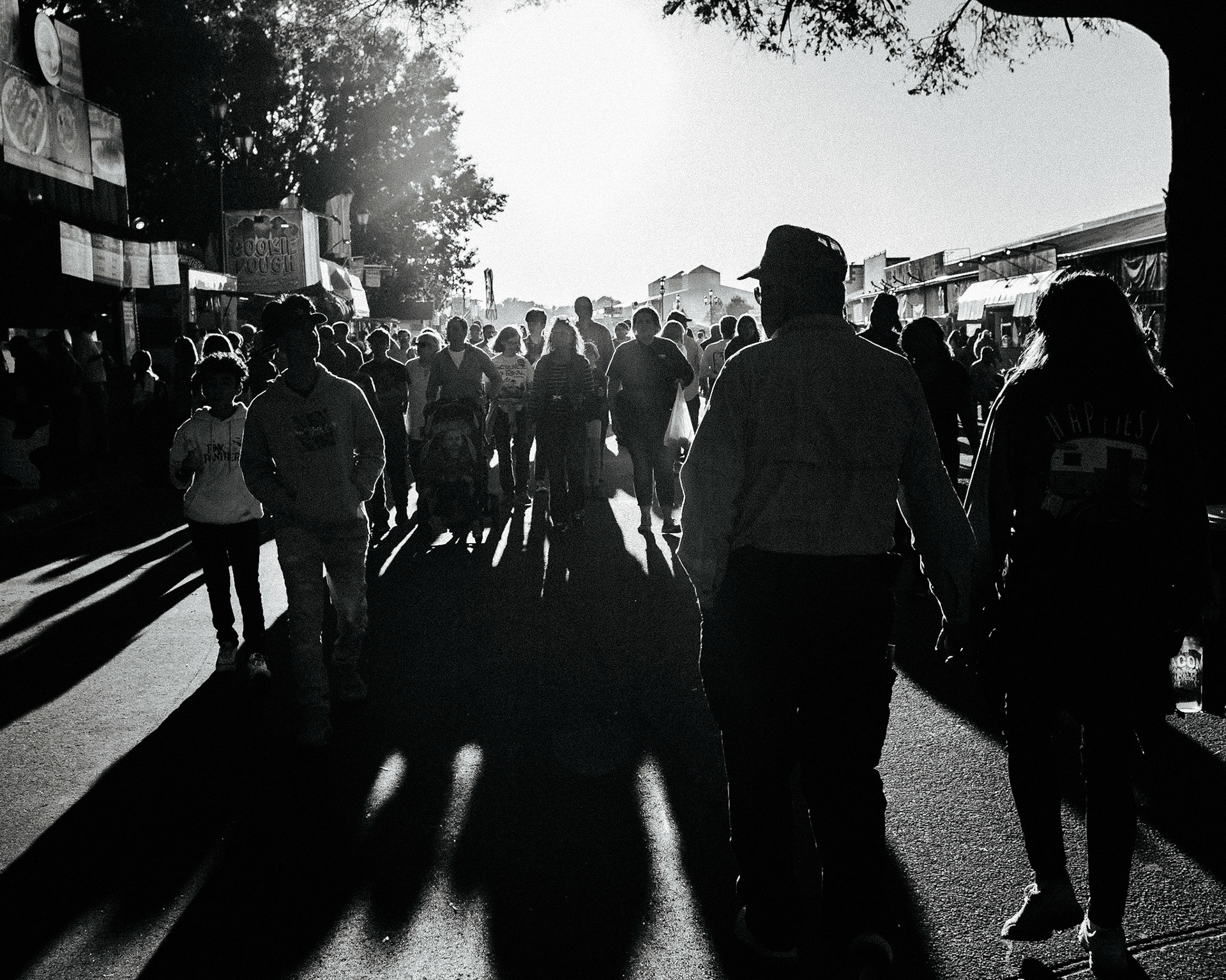 NC State Fair Shadow Series