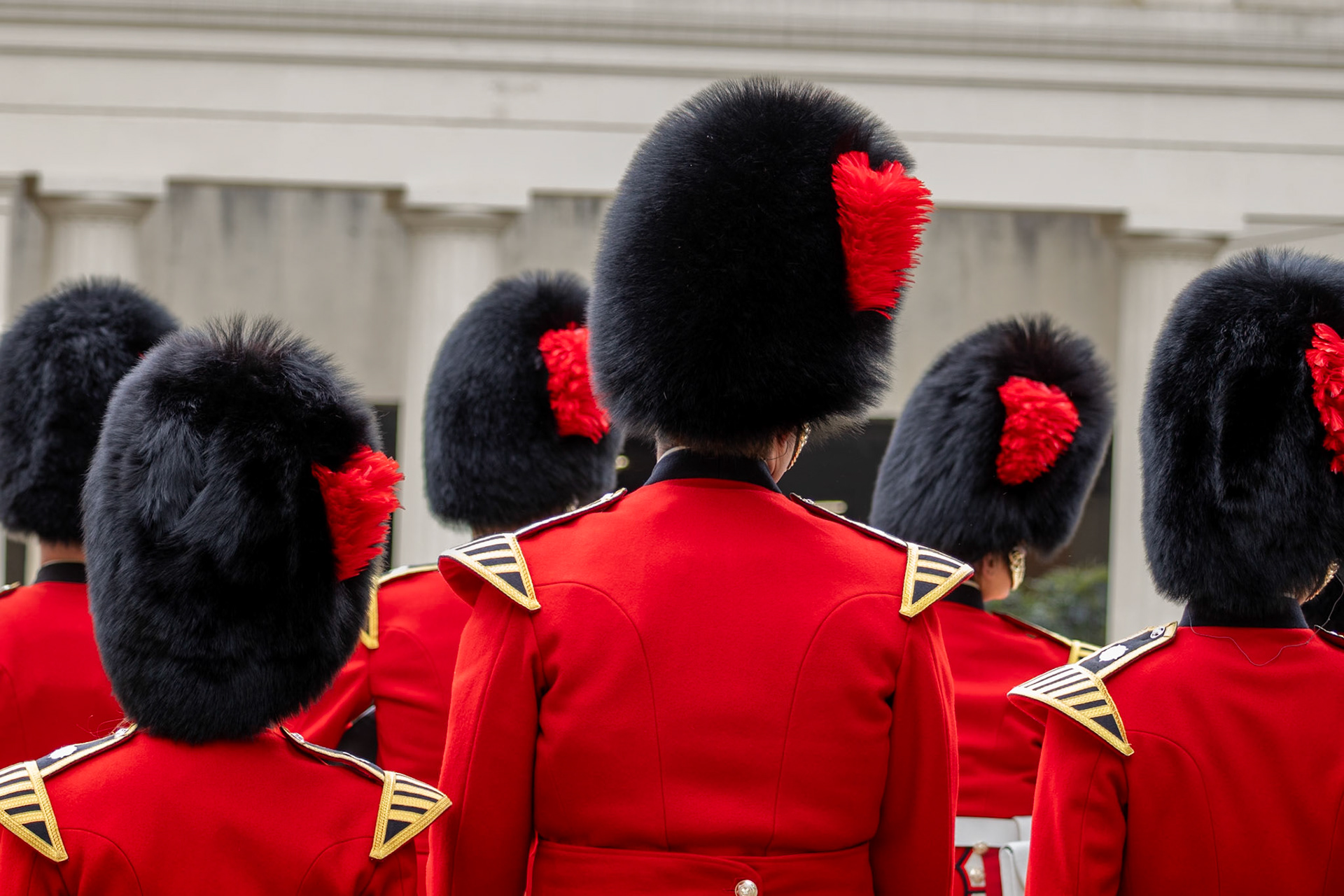 Bear skin hats