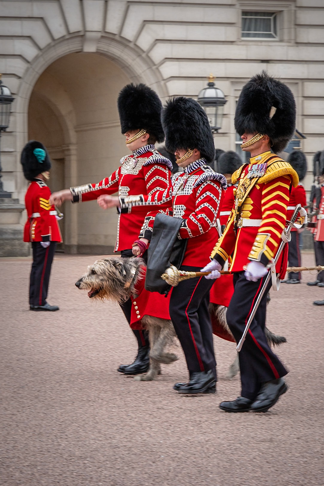 Irish Guards and Irish Wolfhound