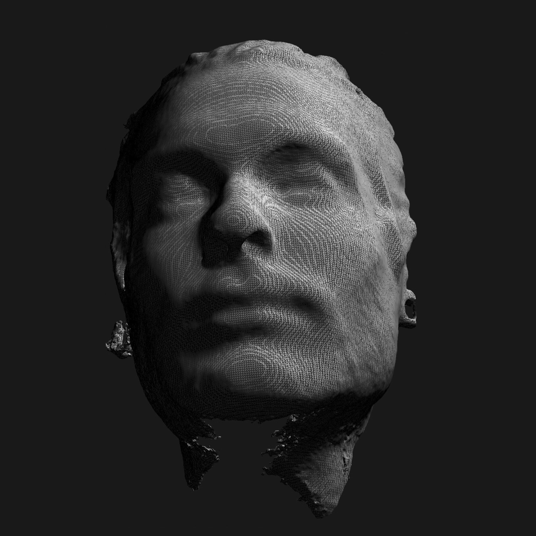 Maillage, 2019