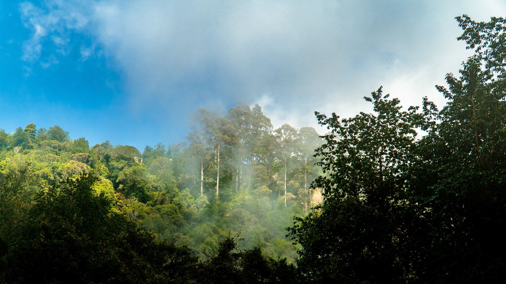 Kodaikanal