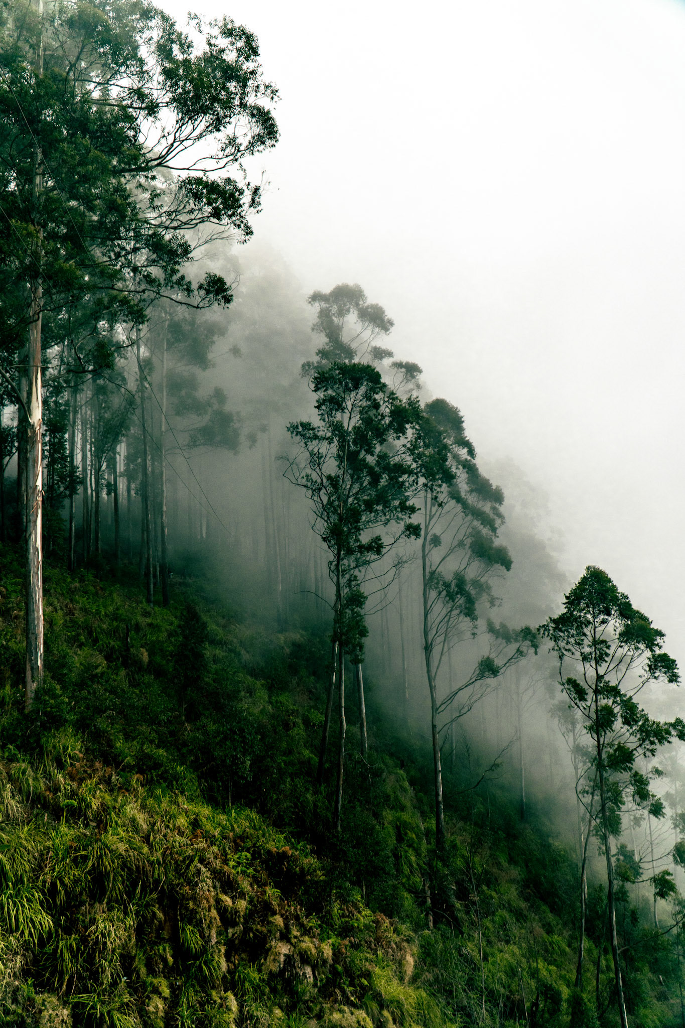 Kodaikanal