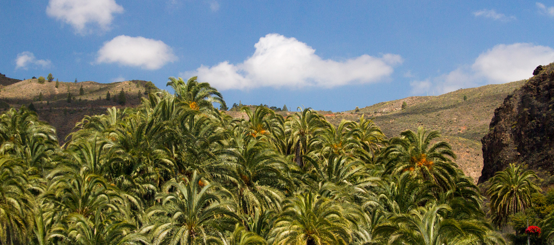 Gran Canaria