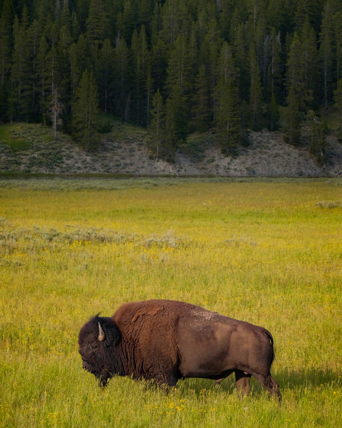 Grand Tetons National Park