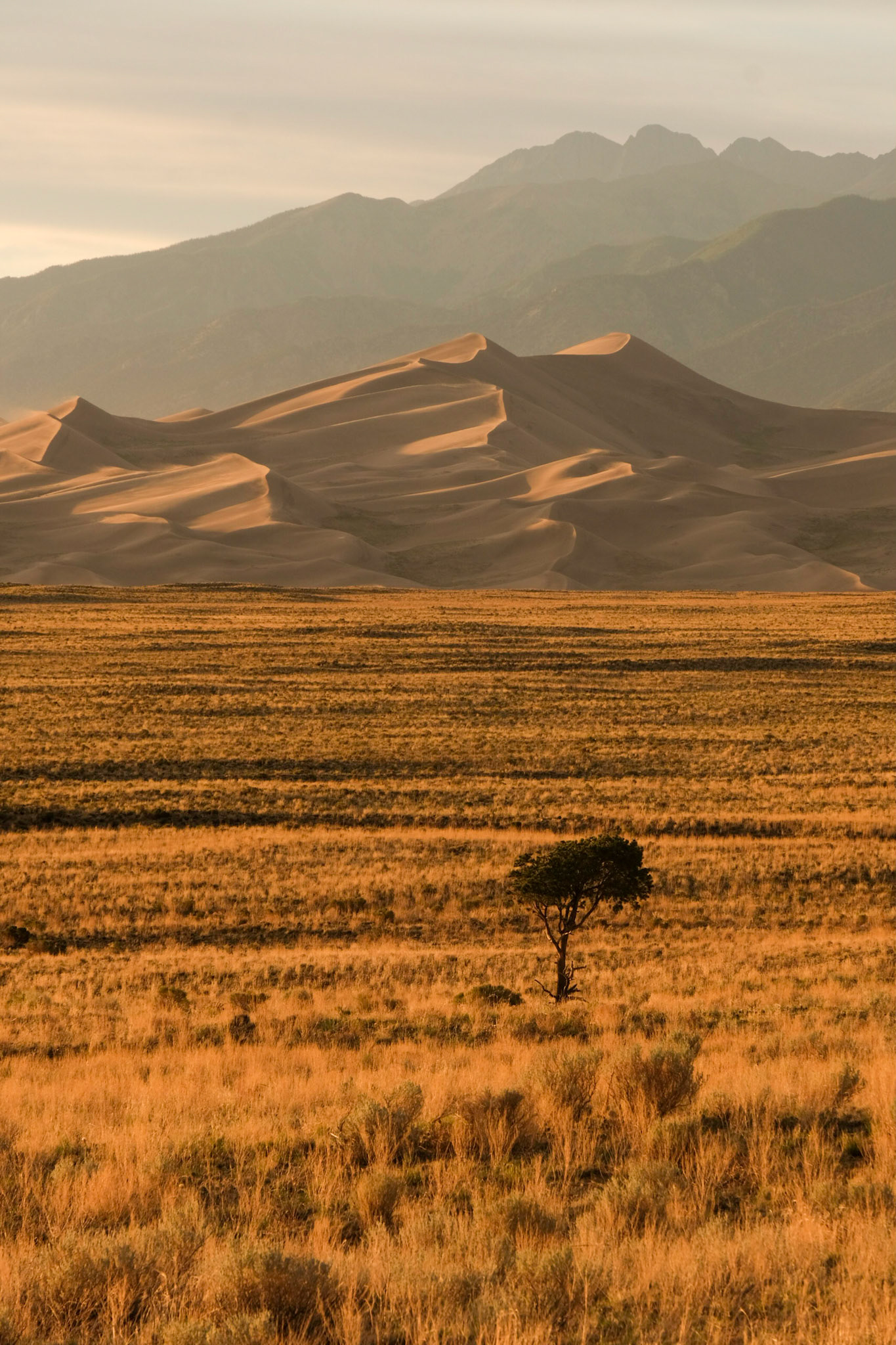 Great Sand Dunes National Park