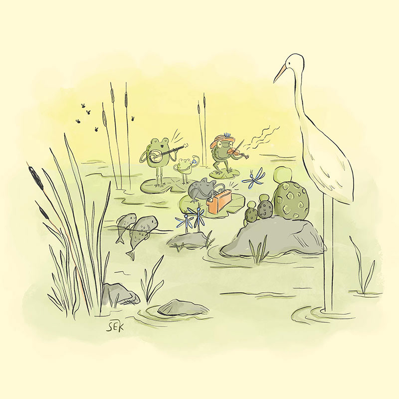 The Lily Pads
