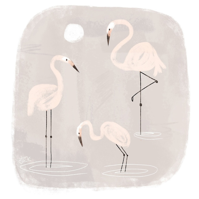 Three Flamingos