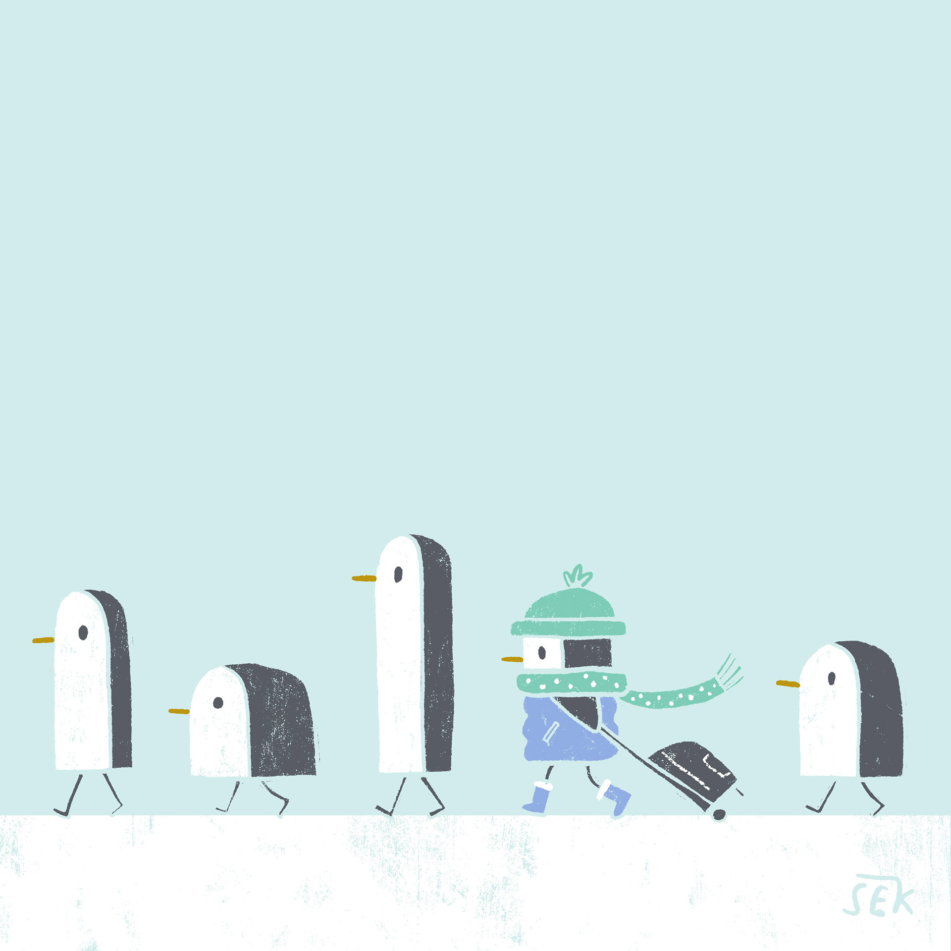 Antarctic Summer Travel