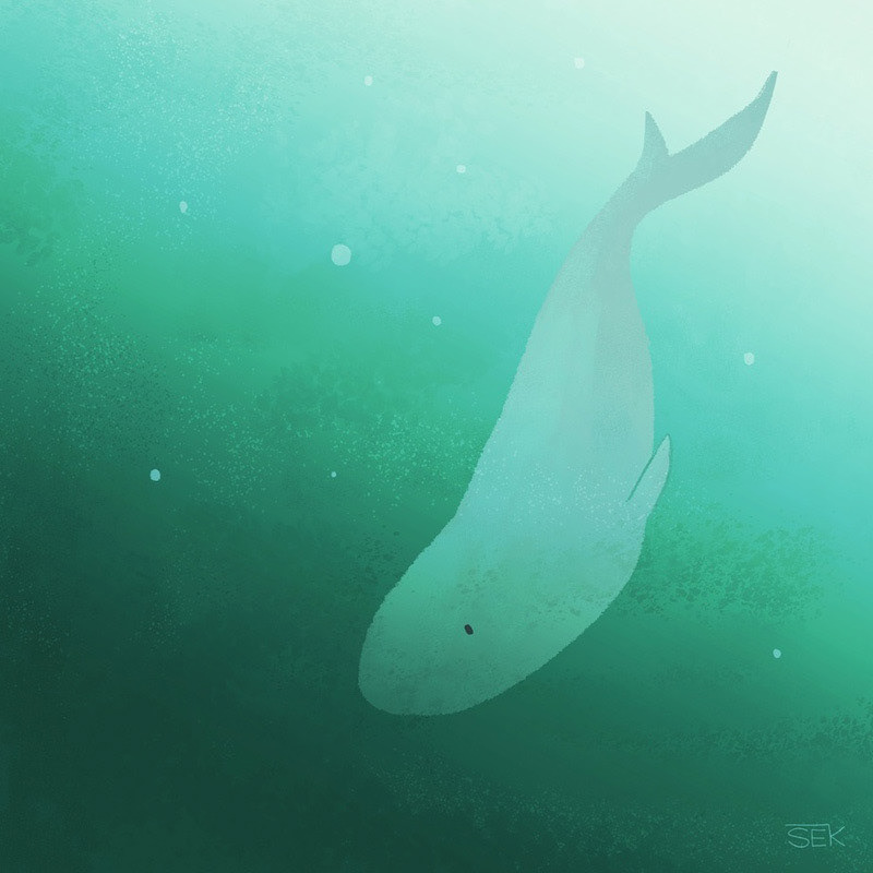 Dive Deep