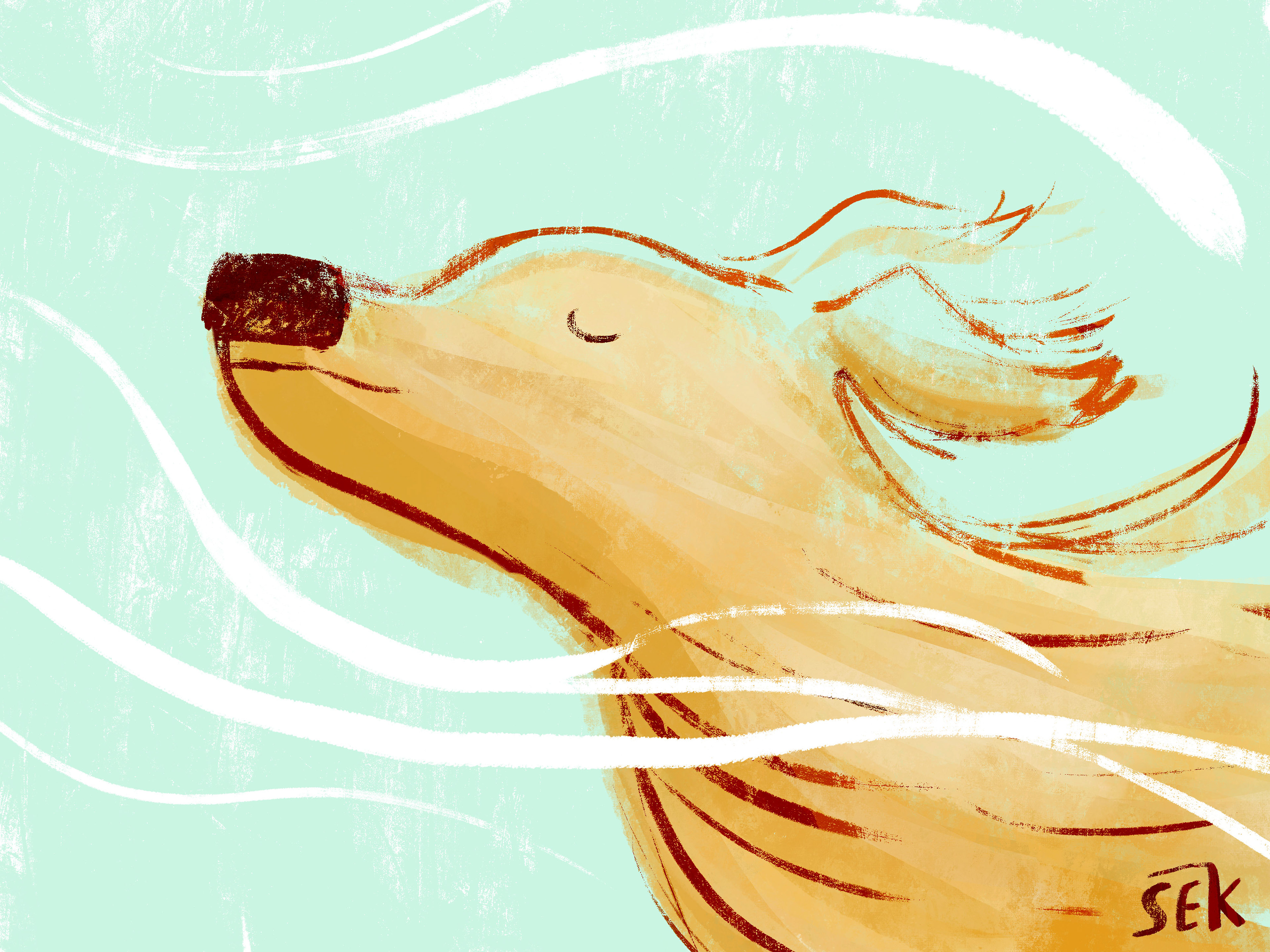 Dog in the Wind