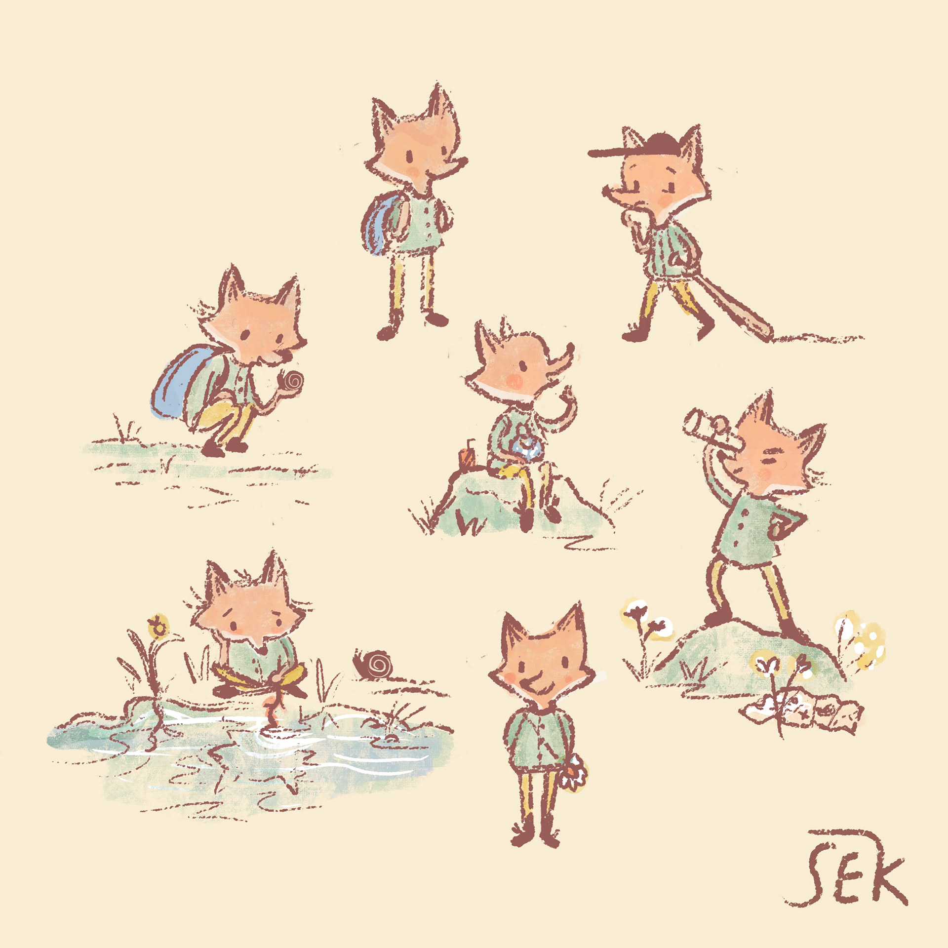 Fox Character Study
