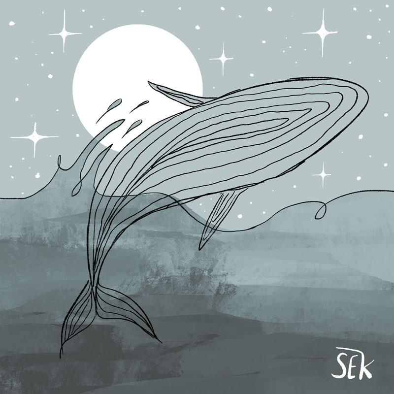 Whale Moon