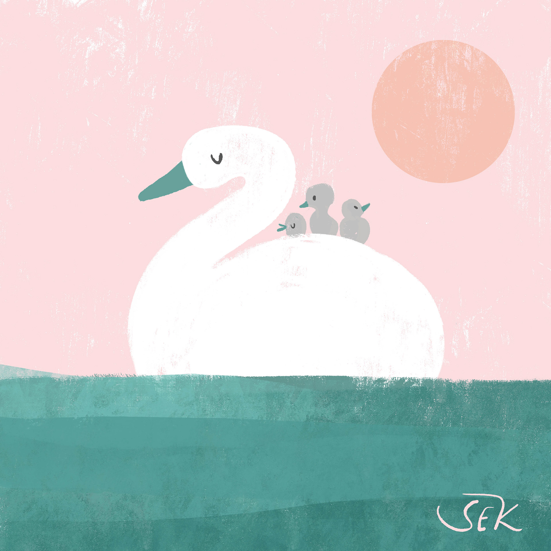 Swans