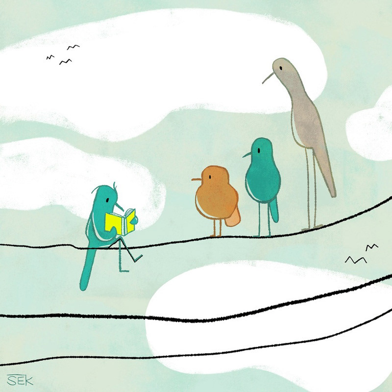 Birds On A Wire