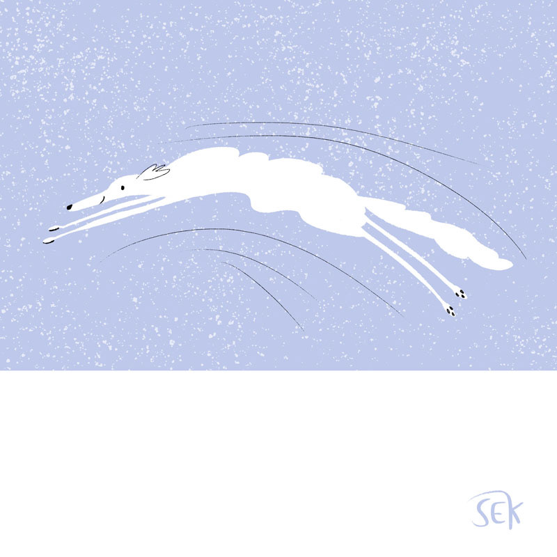 Borzoi