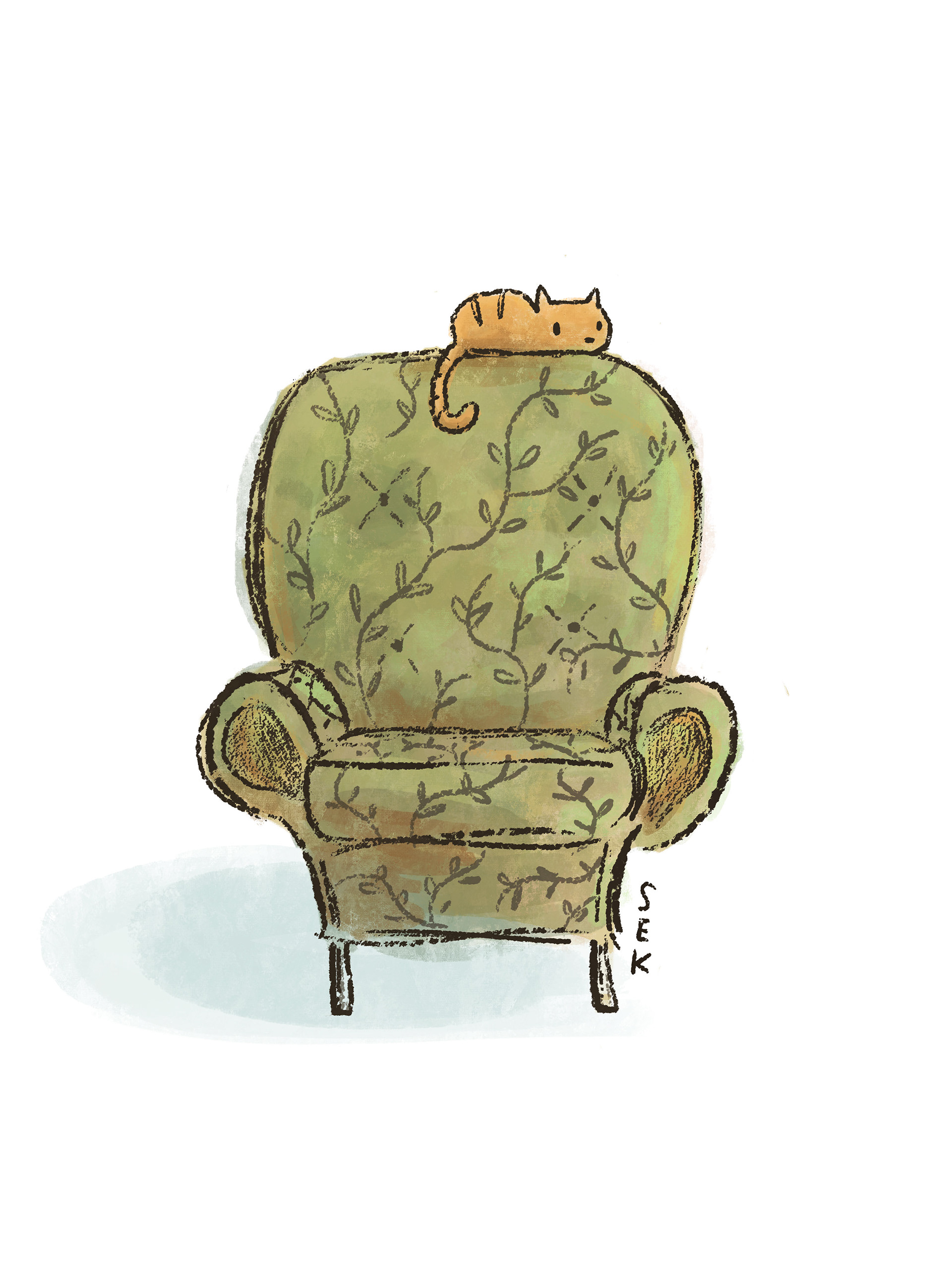 Acorn the Cat