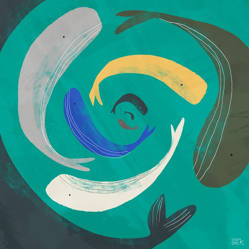 Spiral Of Whales