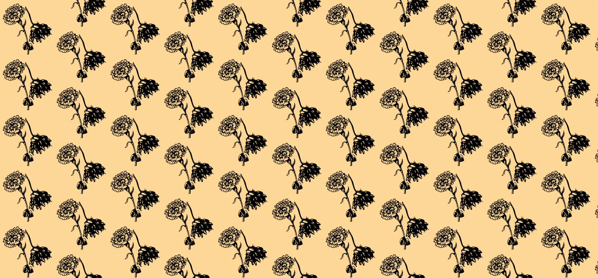 Muestra digital de la cubierta posterior de El Fantasma de Canterville