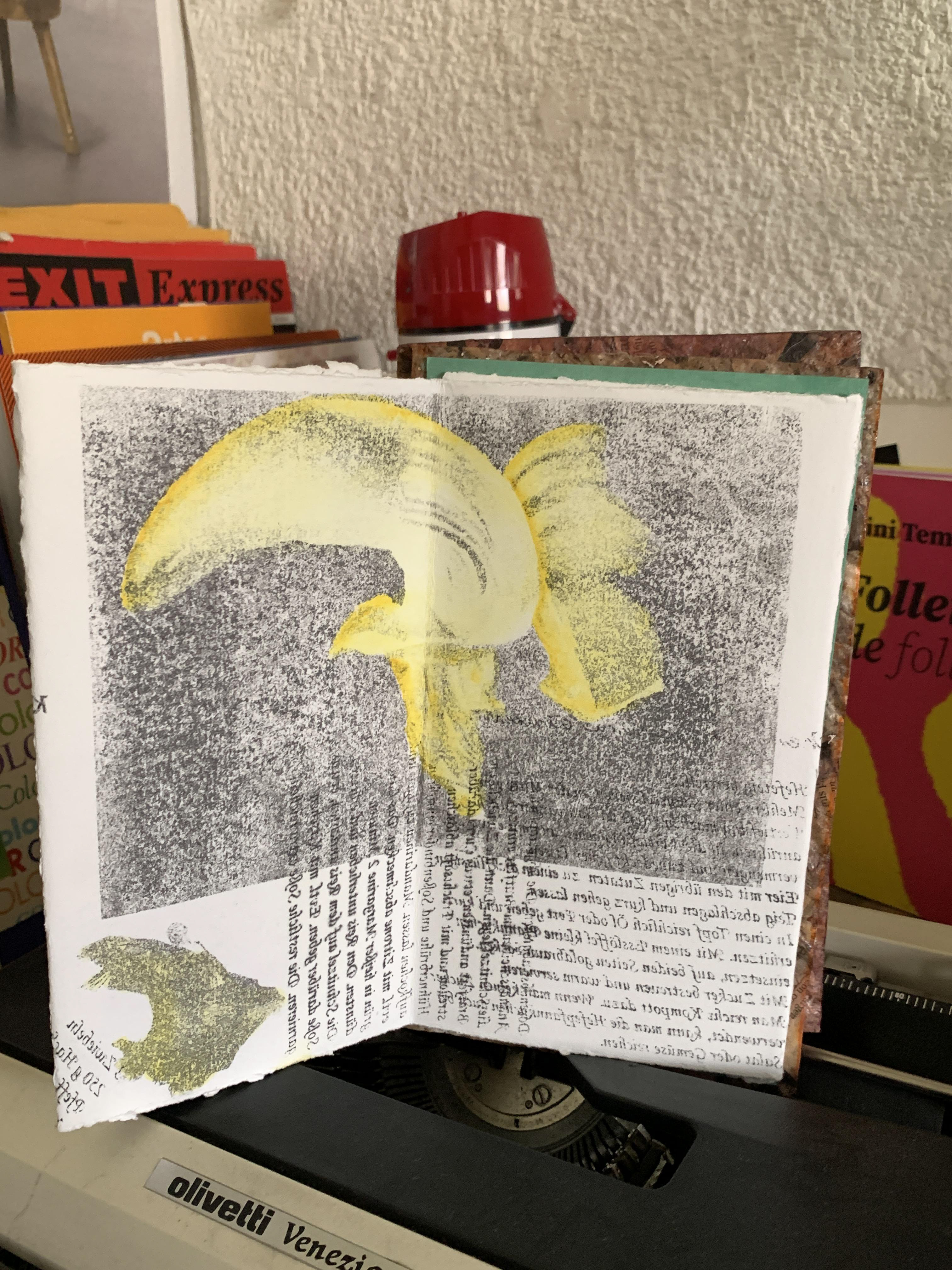 Muestra del Libro de artista