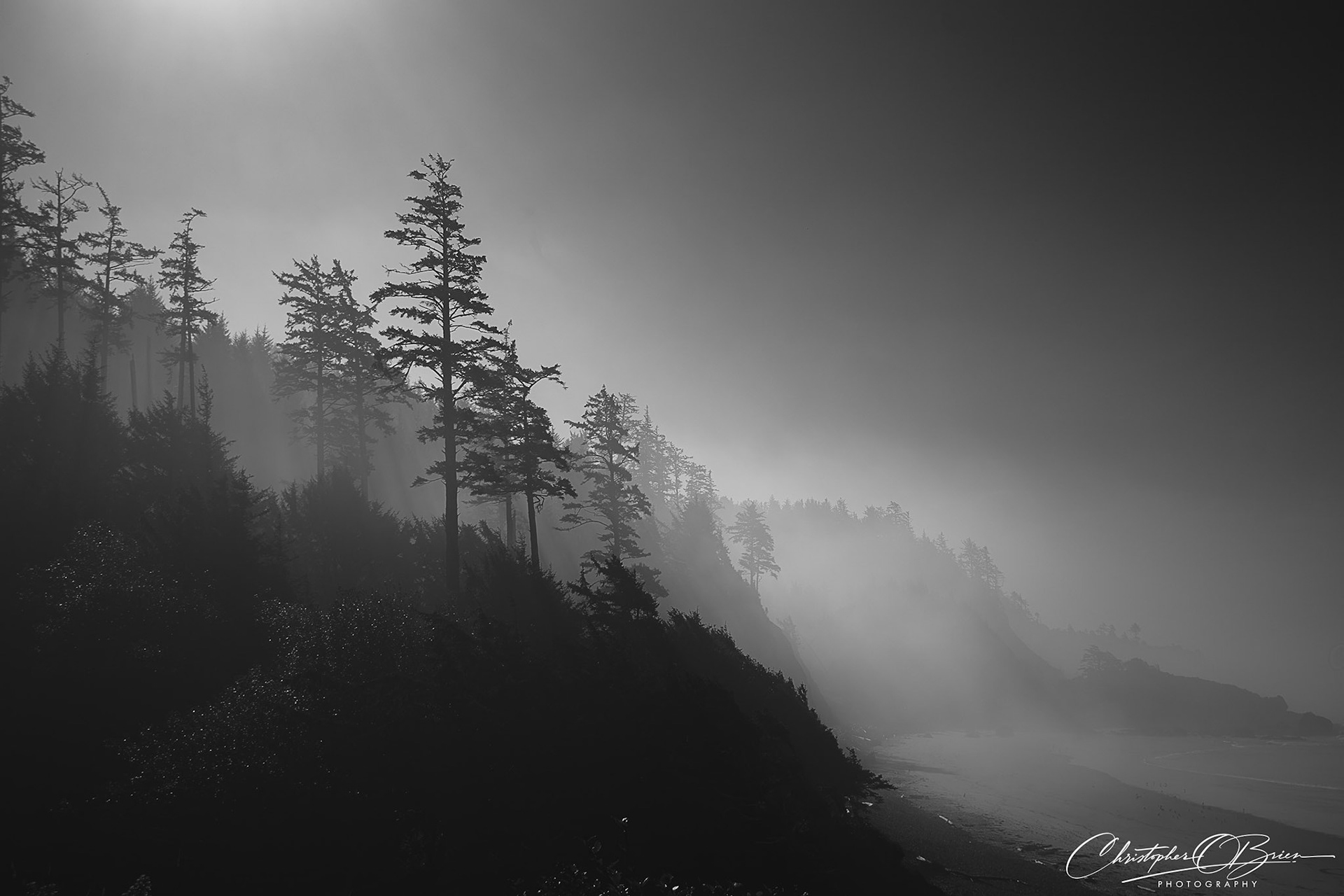 Whispers Through the Fog