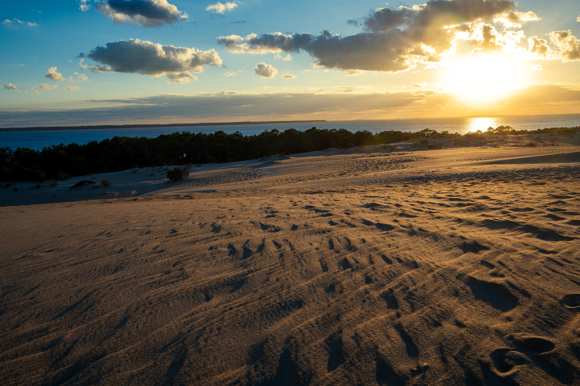 Jockey Ridge