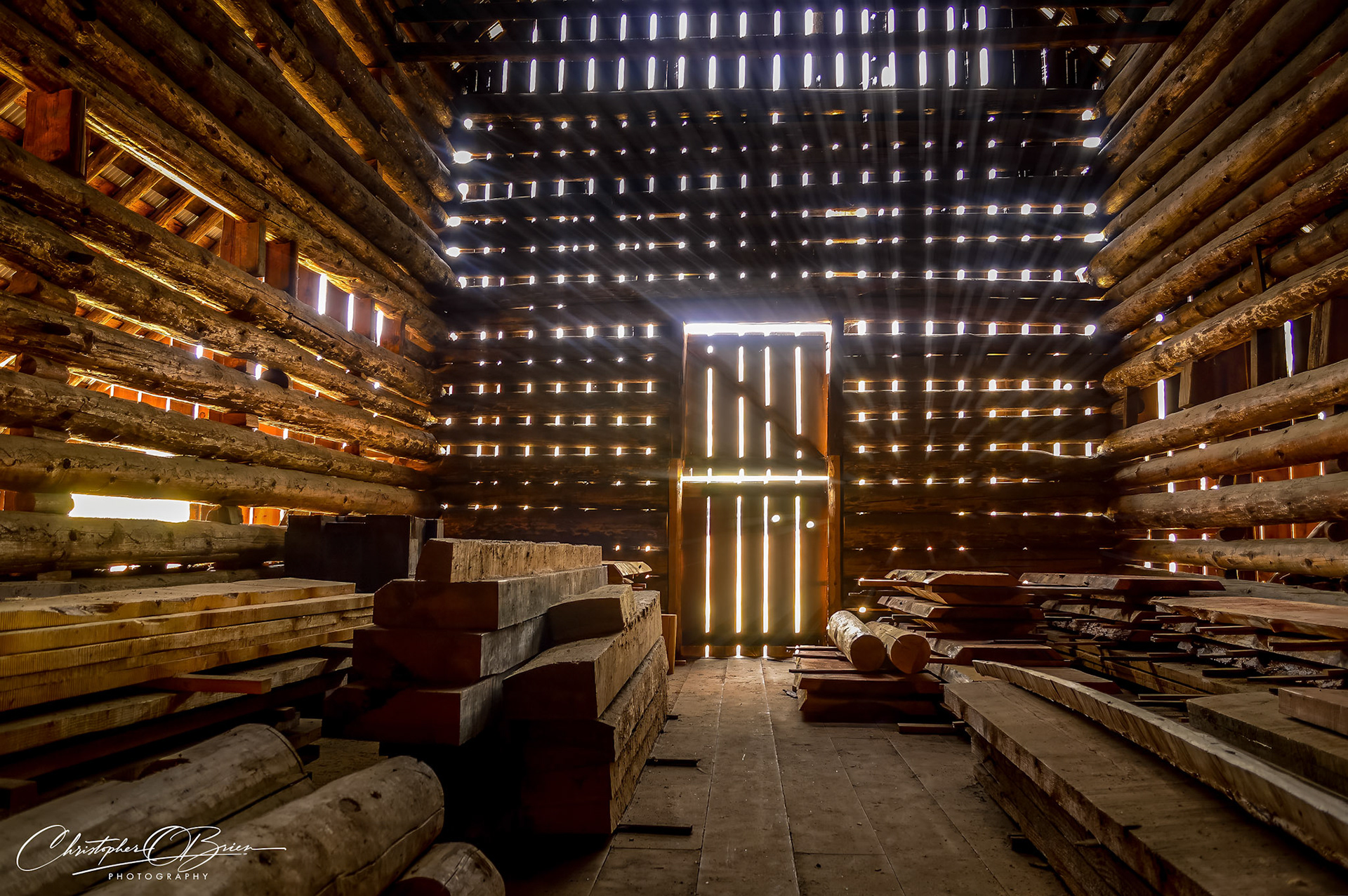 "Whispers Through Wood"