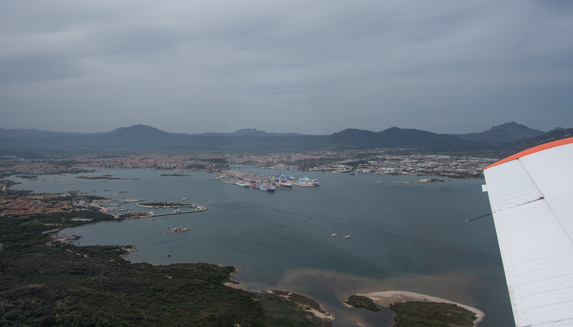 gray Sardinia