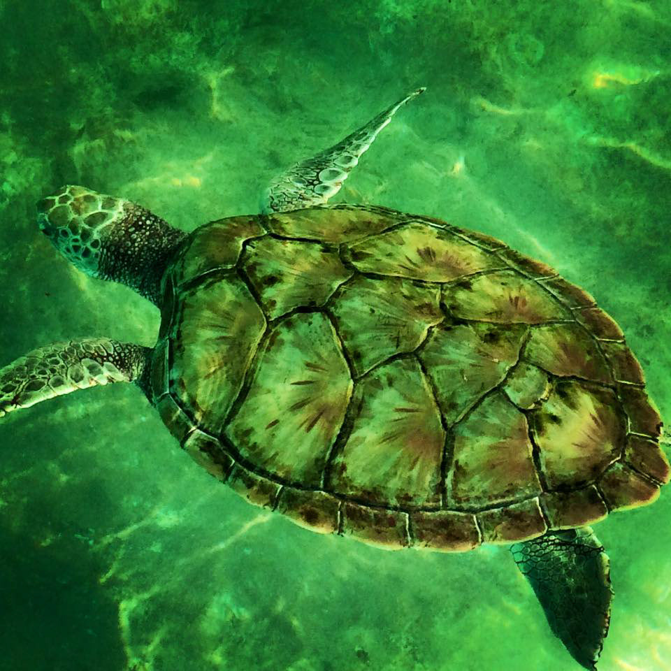 Isle Mujeres, Mexico