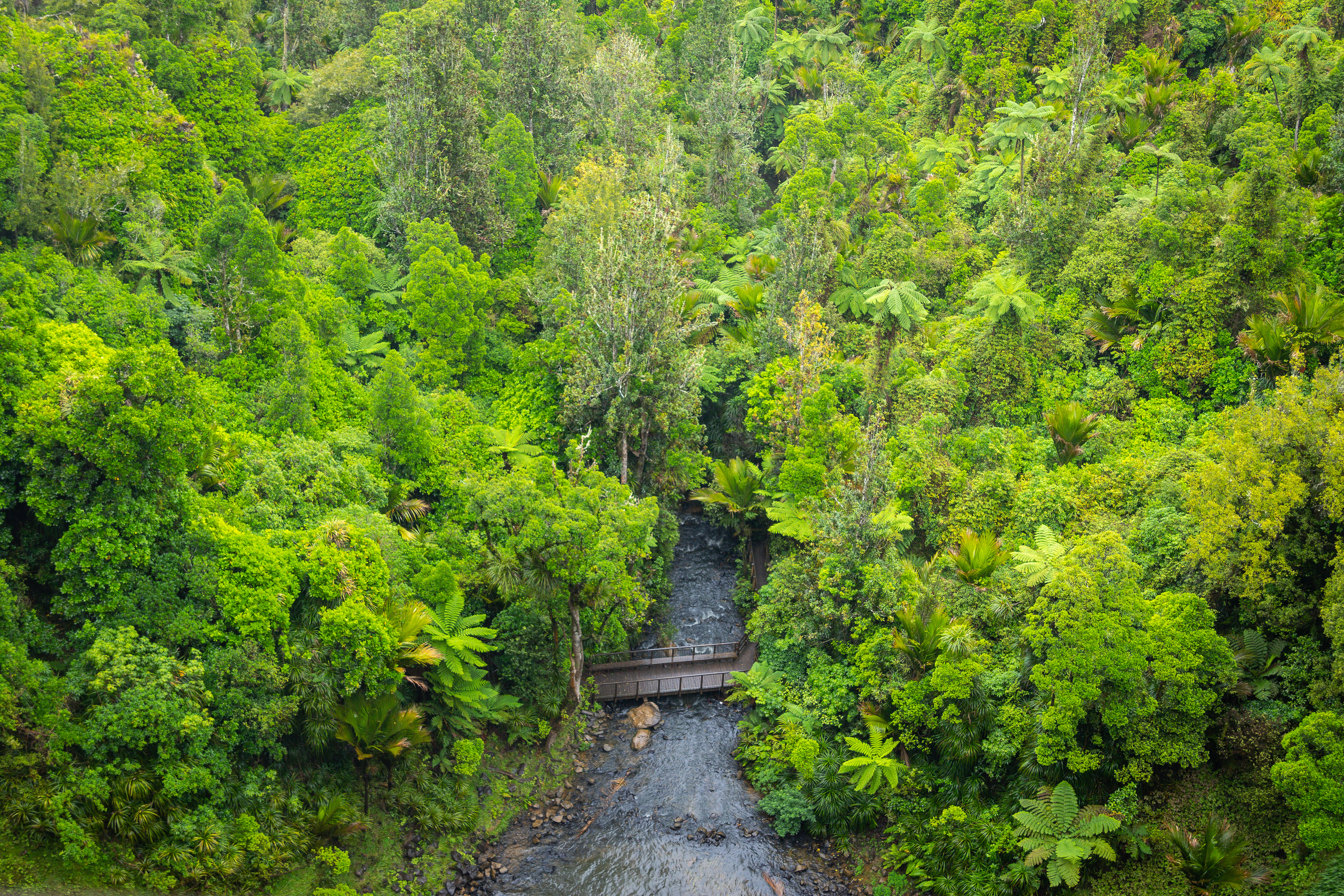 Bridal Veil Falls, Raglan, NZ
