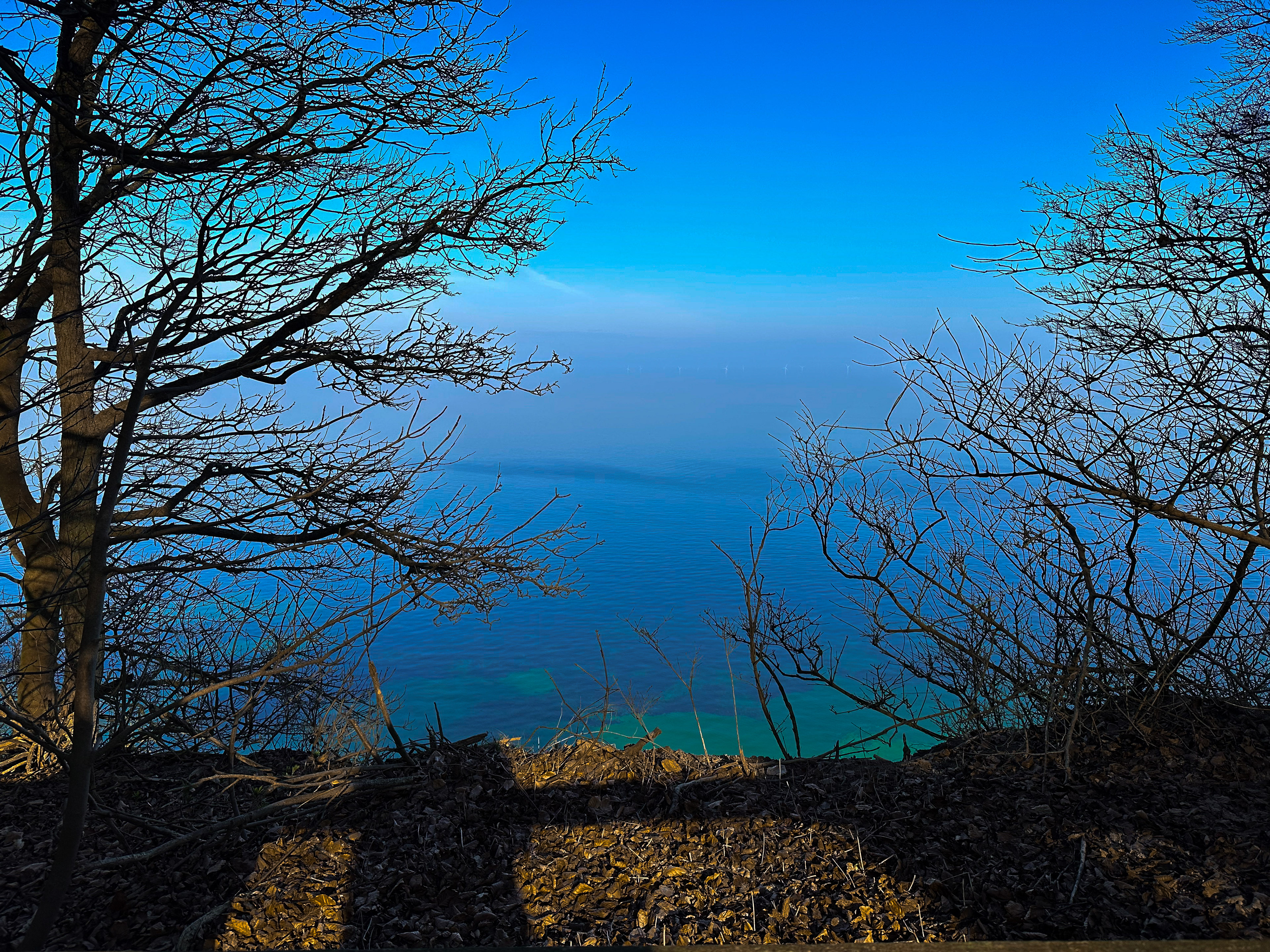 Møns Klint |