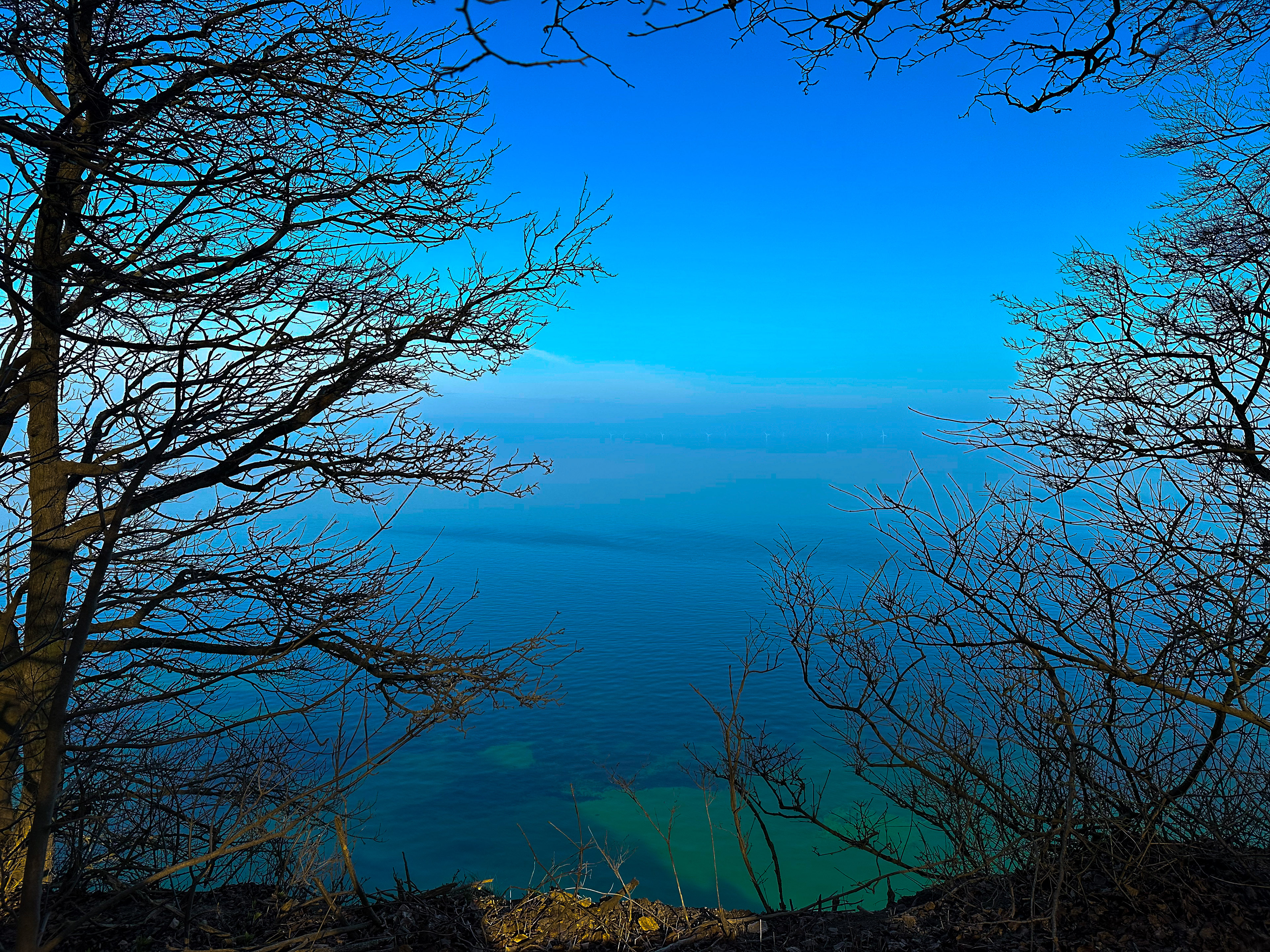 Møns Klint |