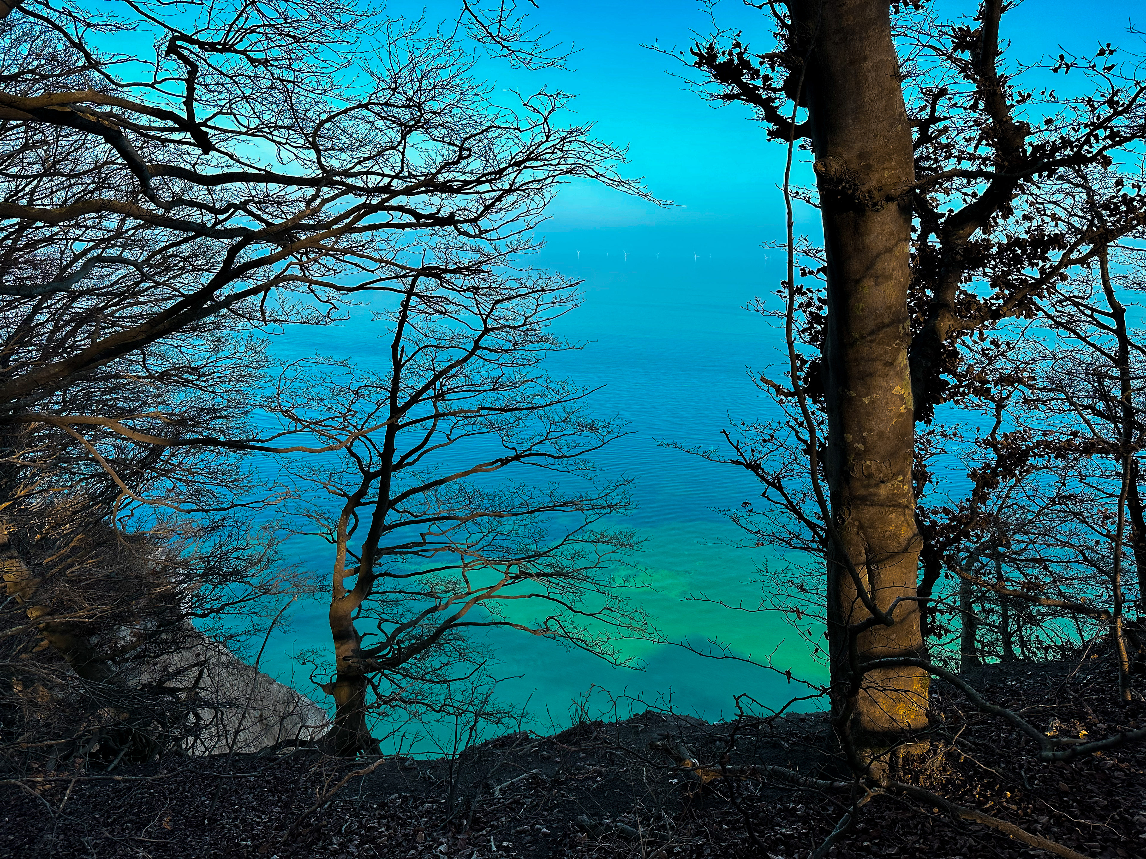 Møns Klint |