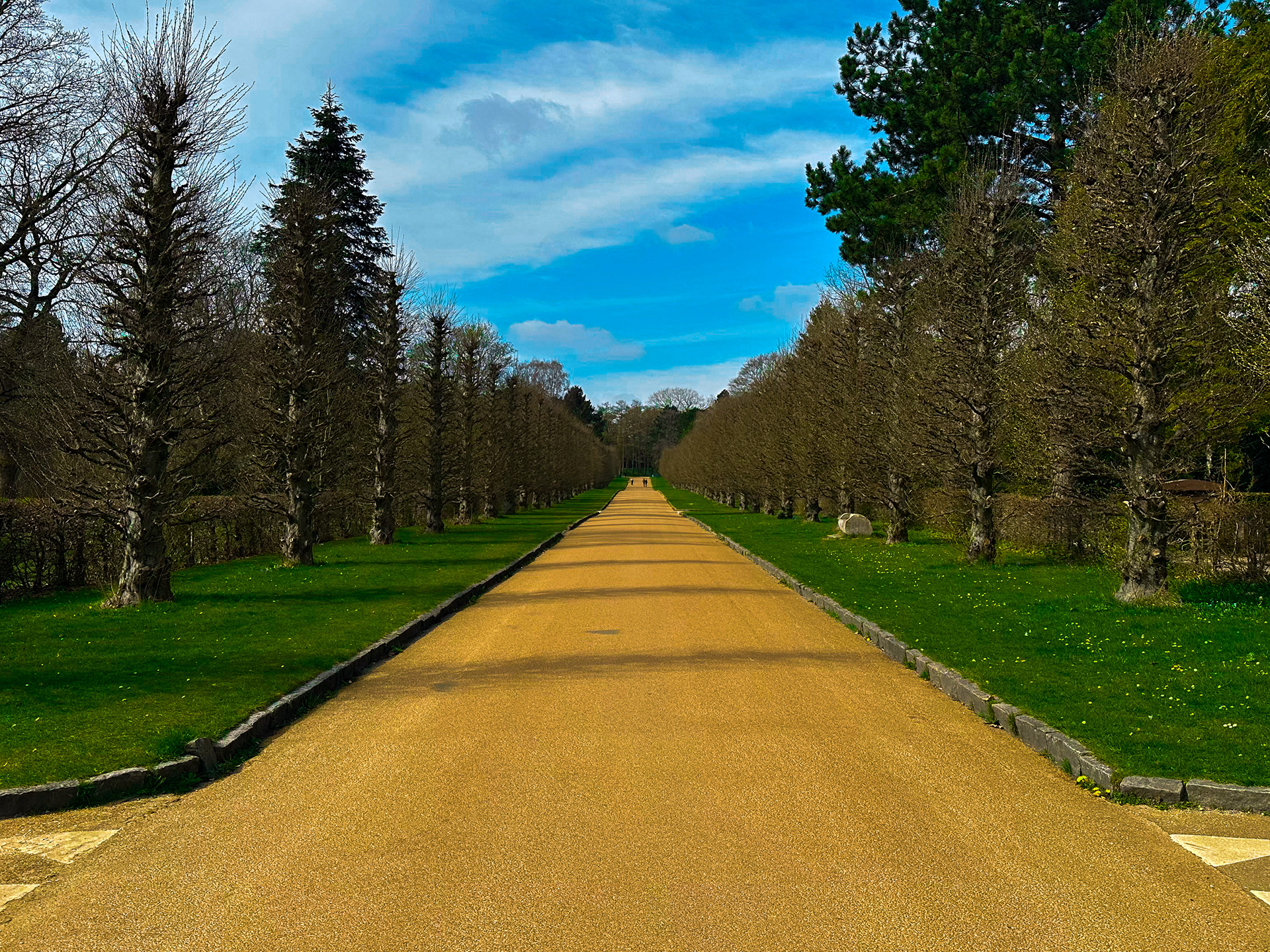 Bispebjerg Cemetery | 'Golden Brick Road' (4/9/25)