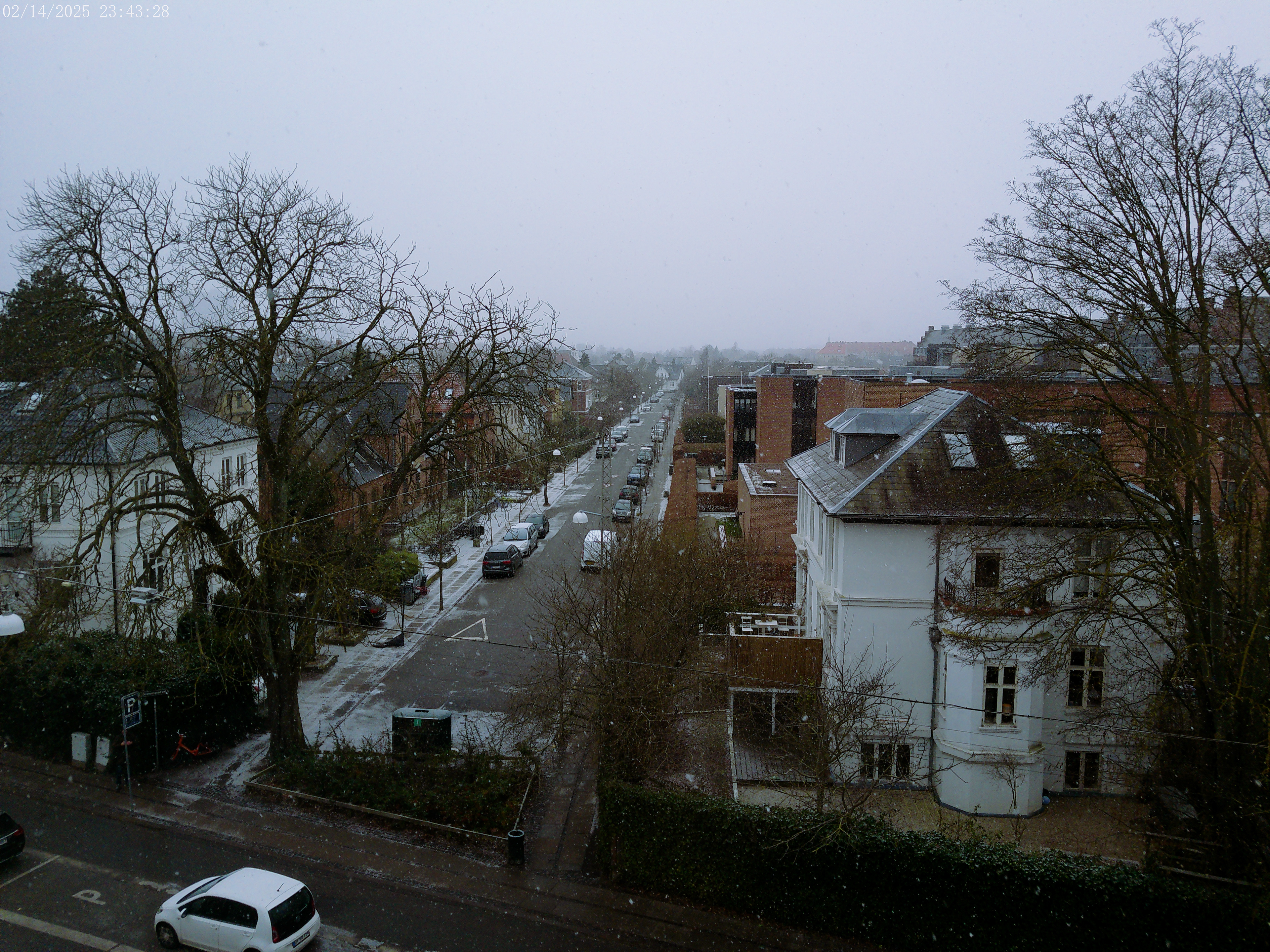 Fredericksburg, Denmark | Snowday (2/15/25)
