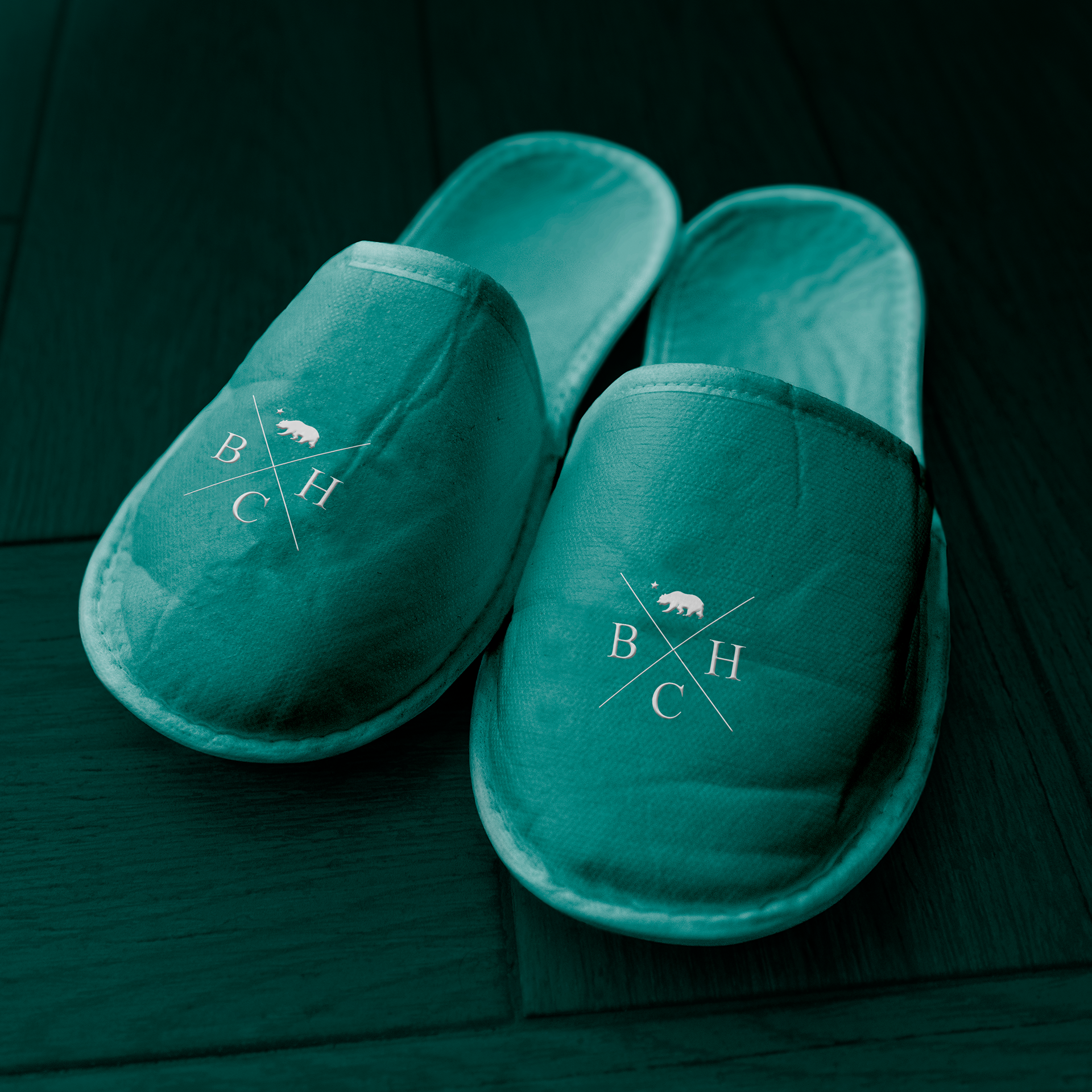 Beach Hotel California | Vorschlag für gebrandete Haus-Slipper (2016)